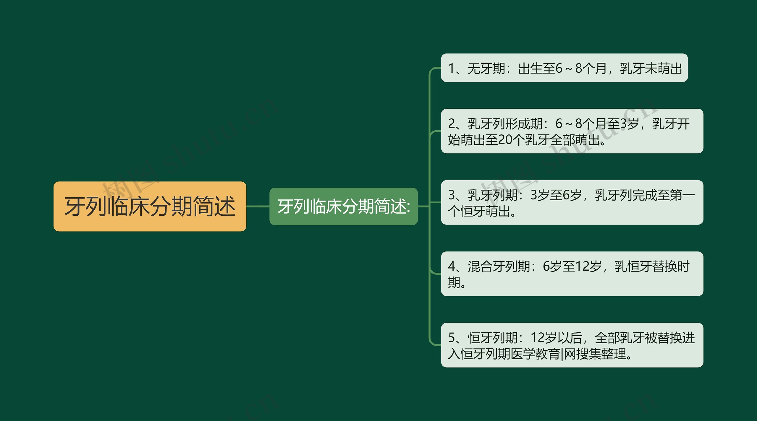 牙列临床分期简述 牙列临床分期简述