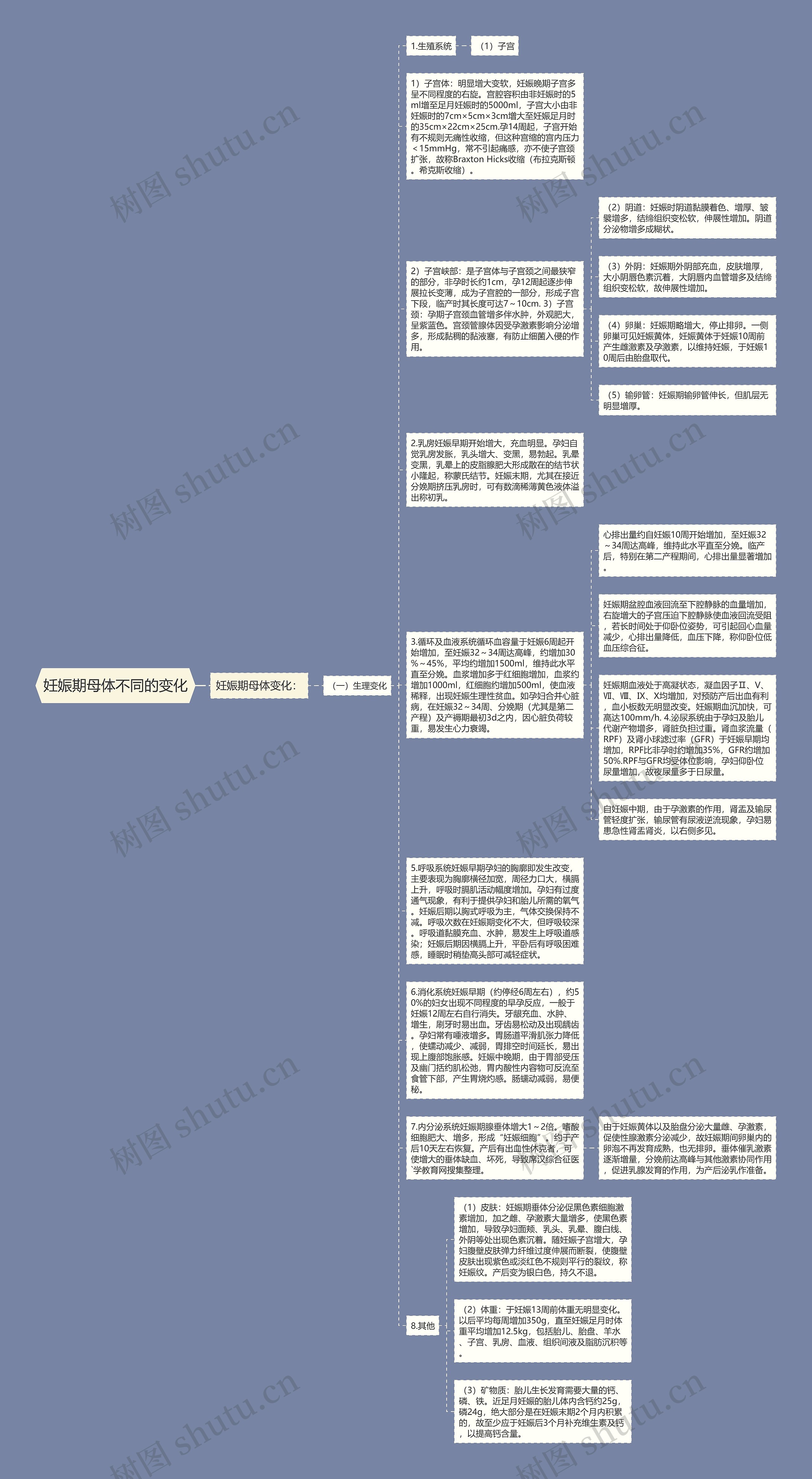 妊娠期母体不同的变化思维导图