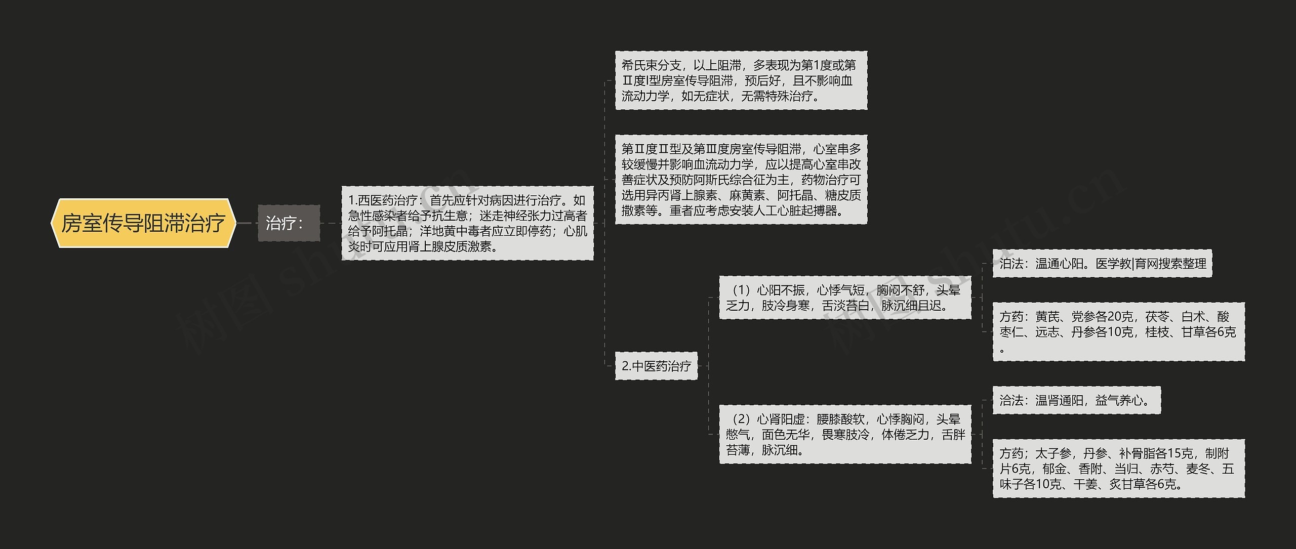 房室传导阻滞治疗思维导图