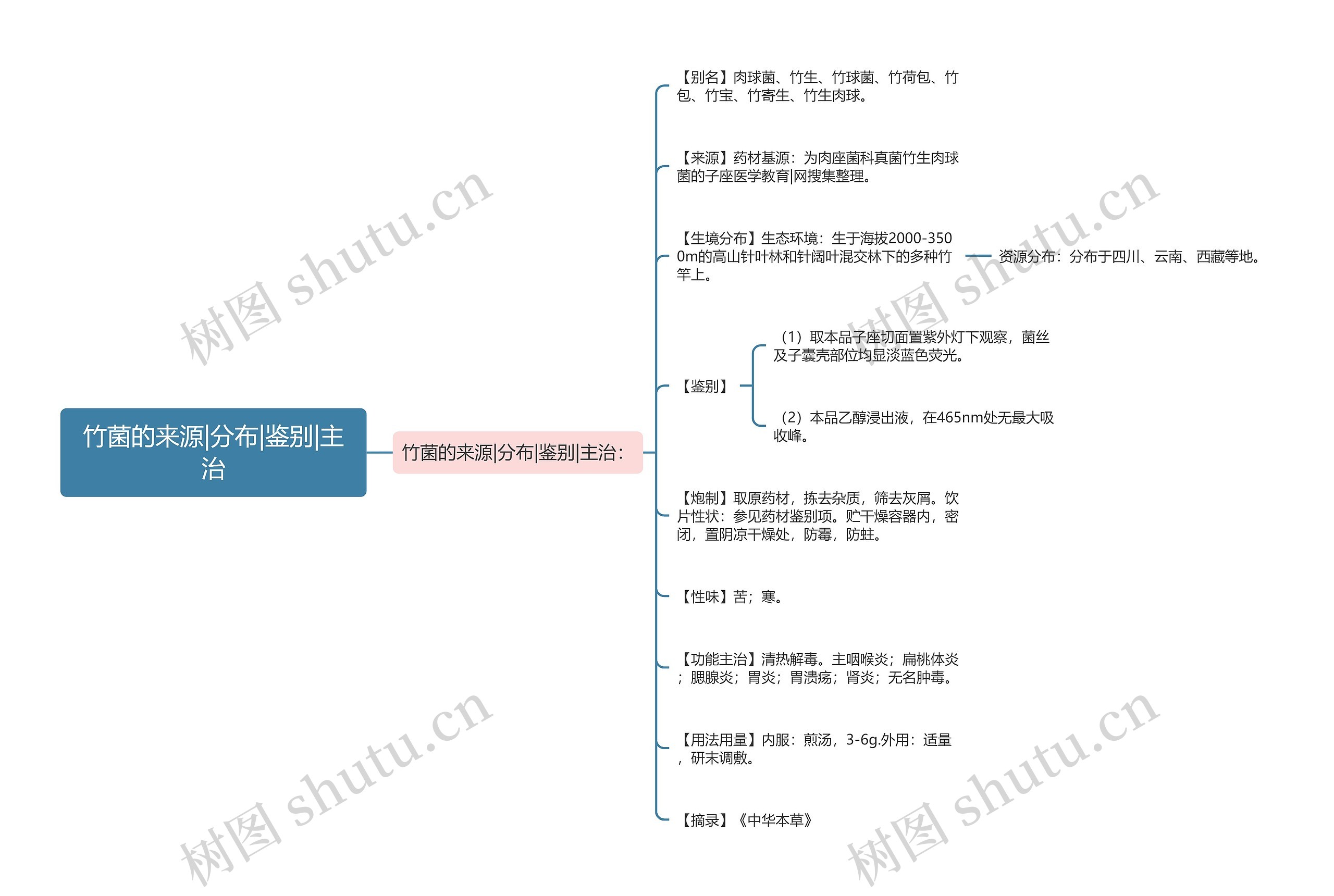 竹菌的来源|分布|鉴别|主治