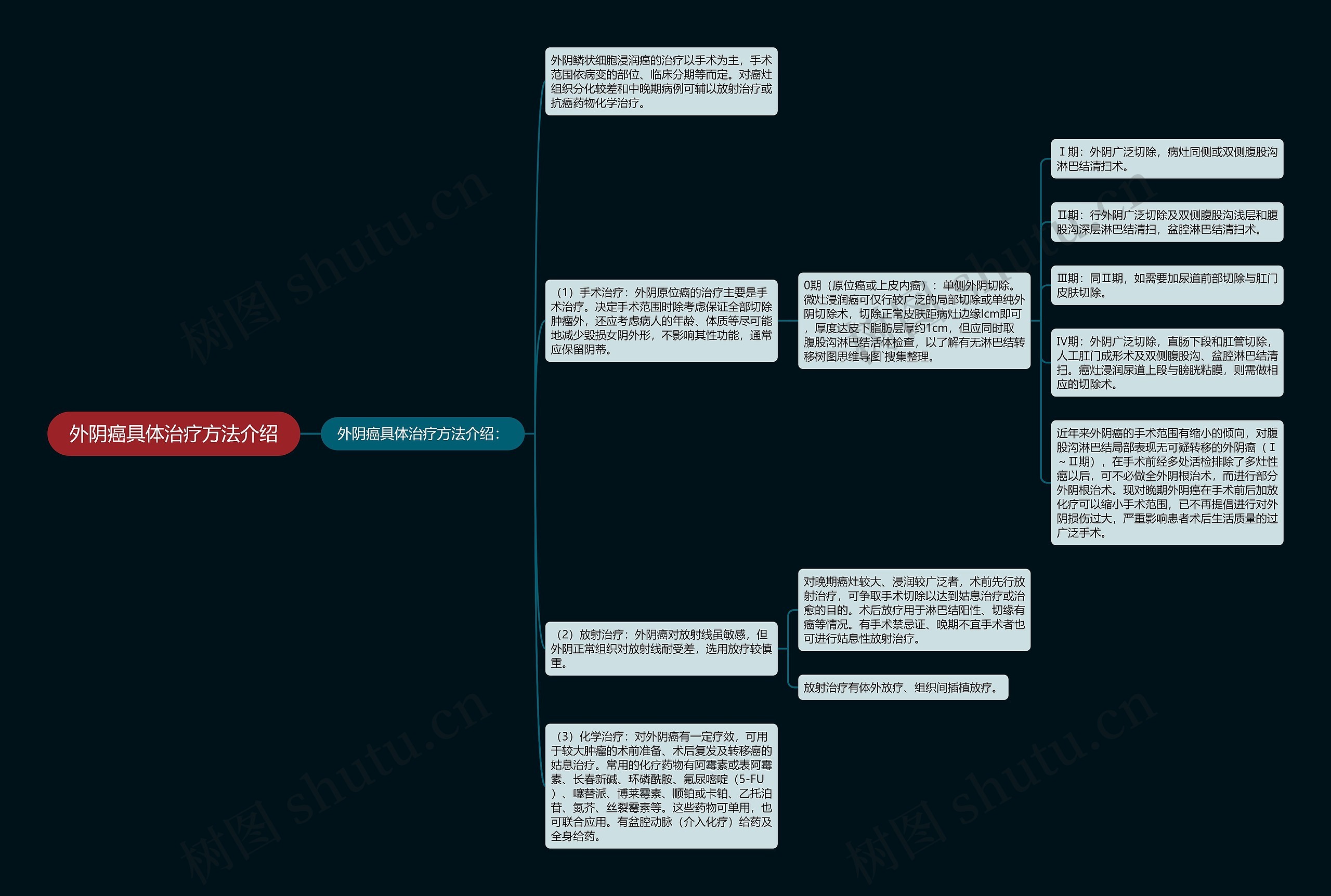 外阴癌具体治疗方法介绍思维导图