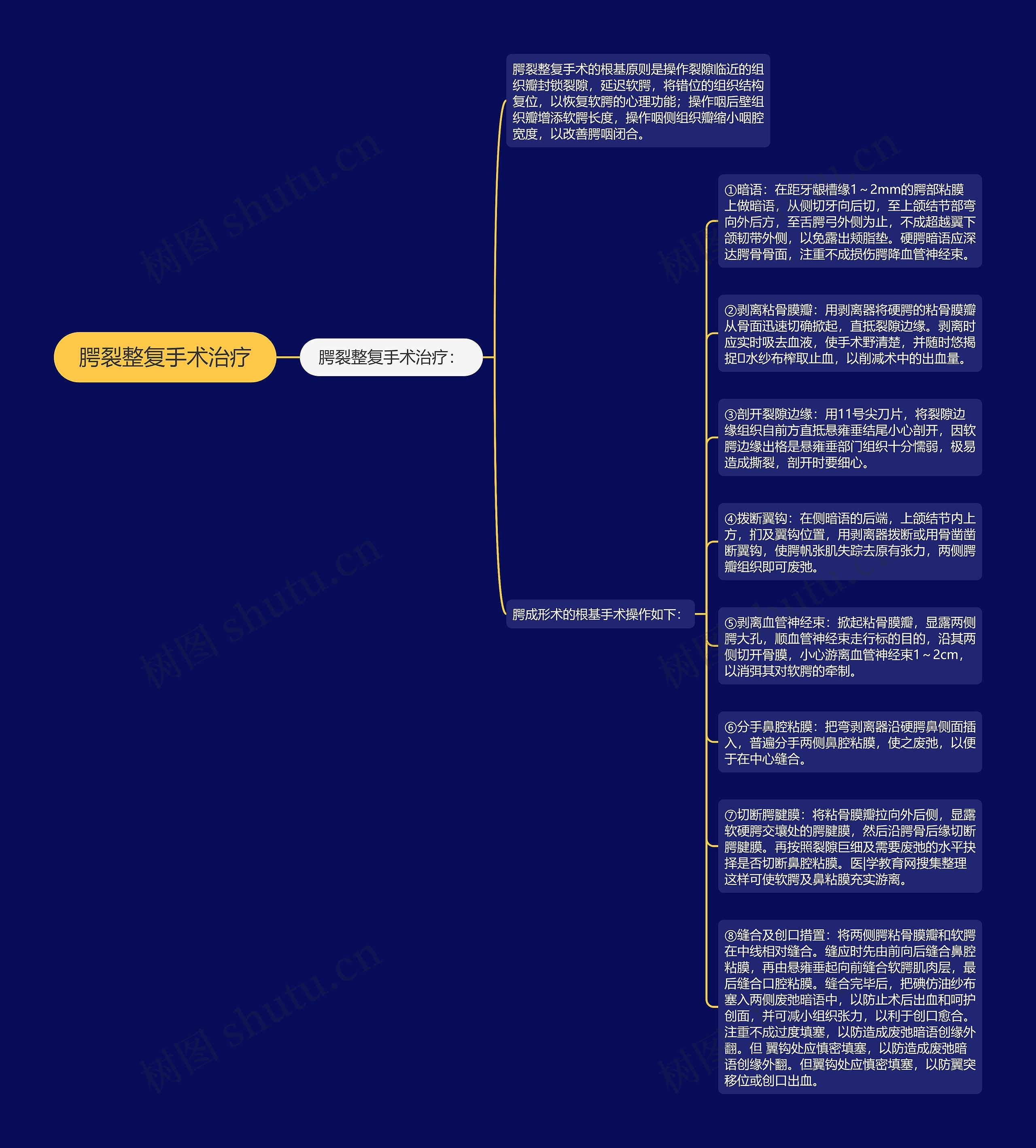 腭裂整复手术治疗思维导图