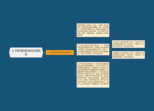 上下颌弓的形状和位置关系