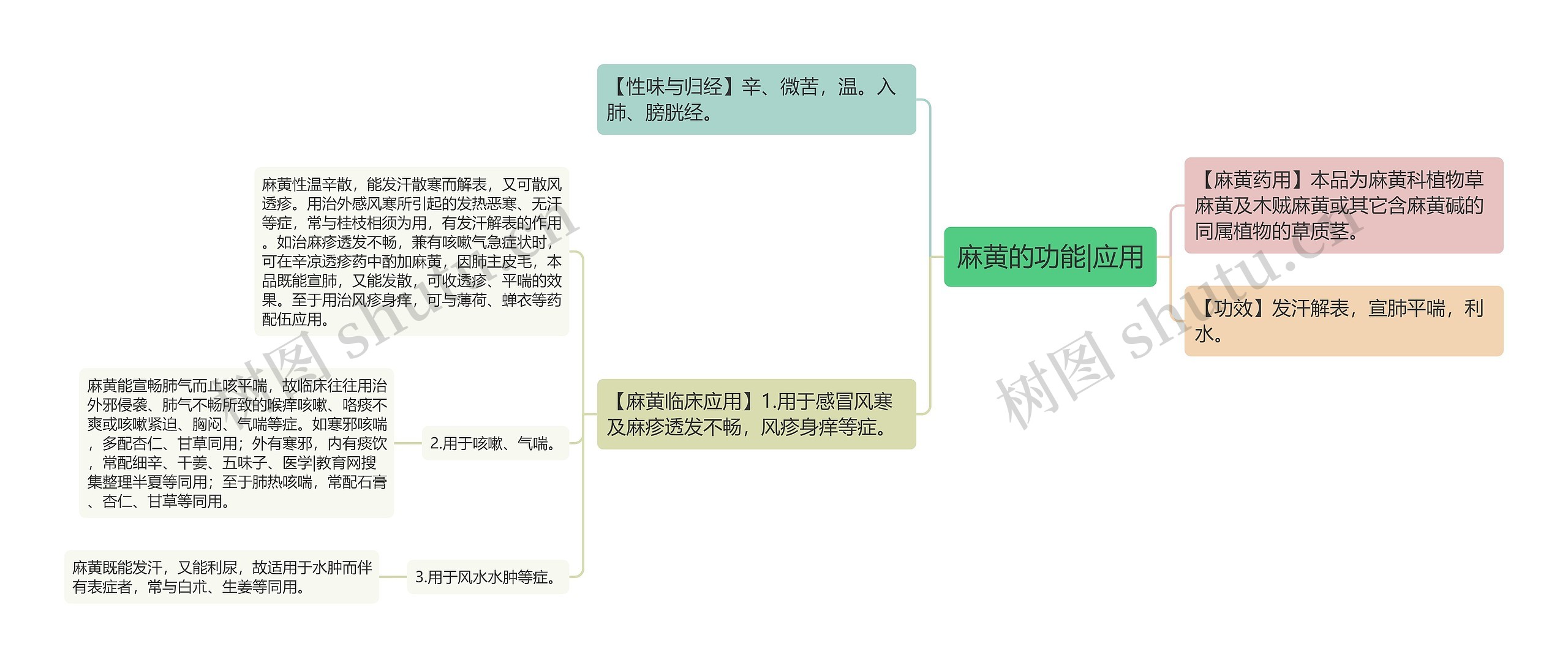 麻黄的功能|应用 麻黄的功能|应用