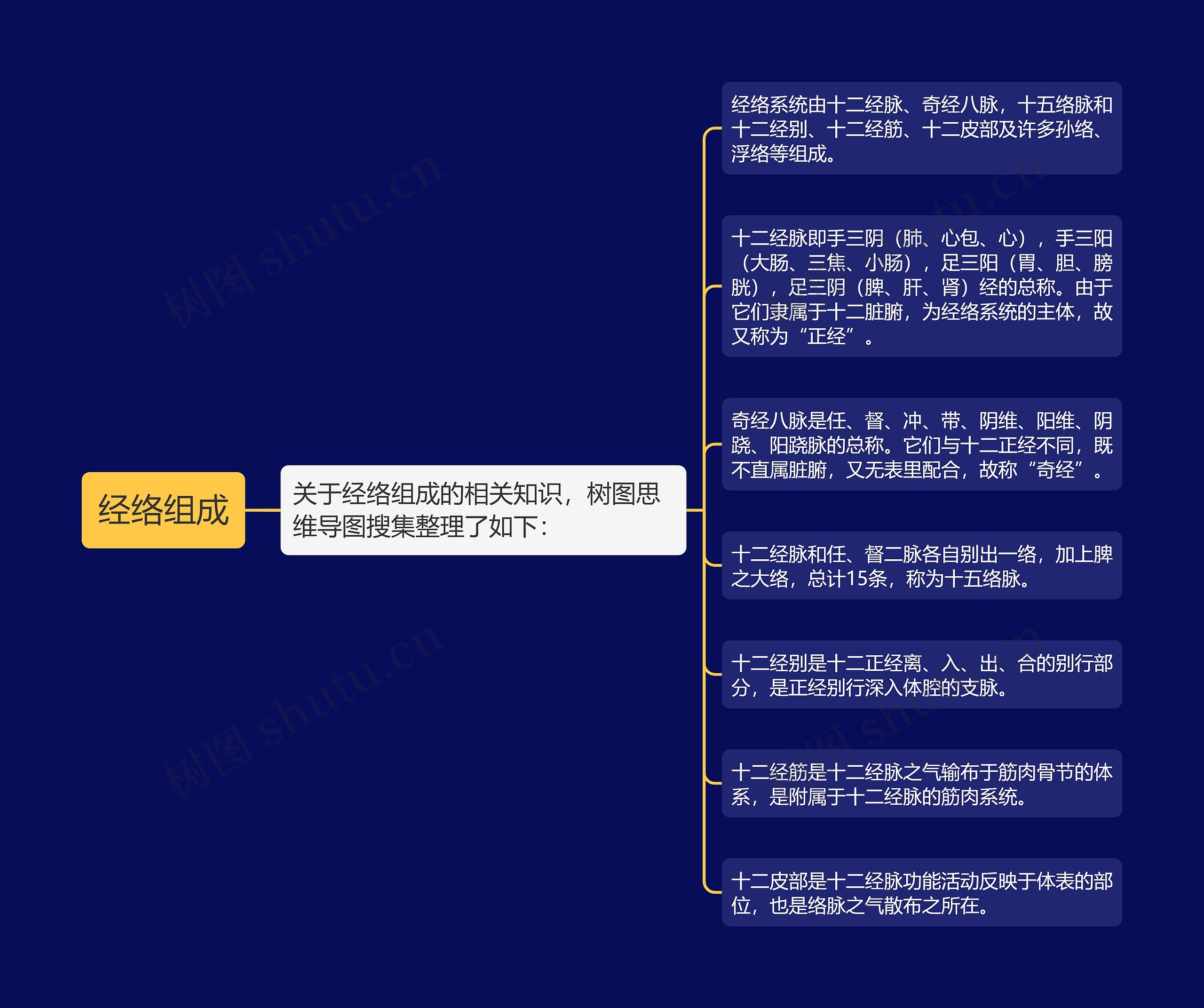 经络组成思维导图