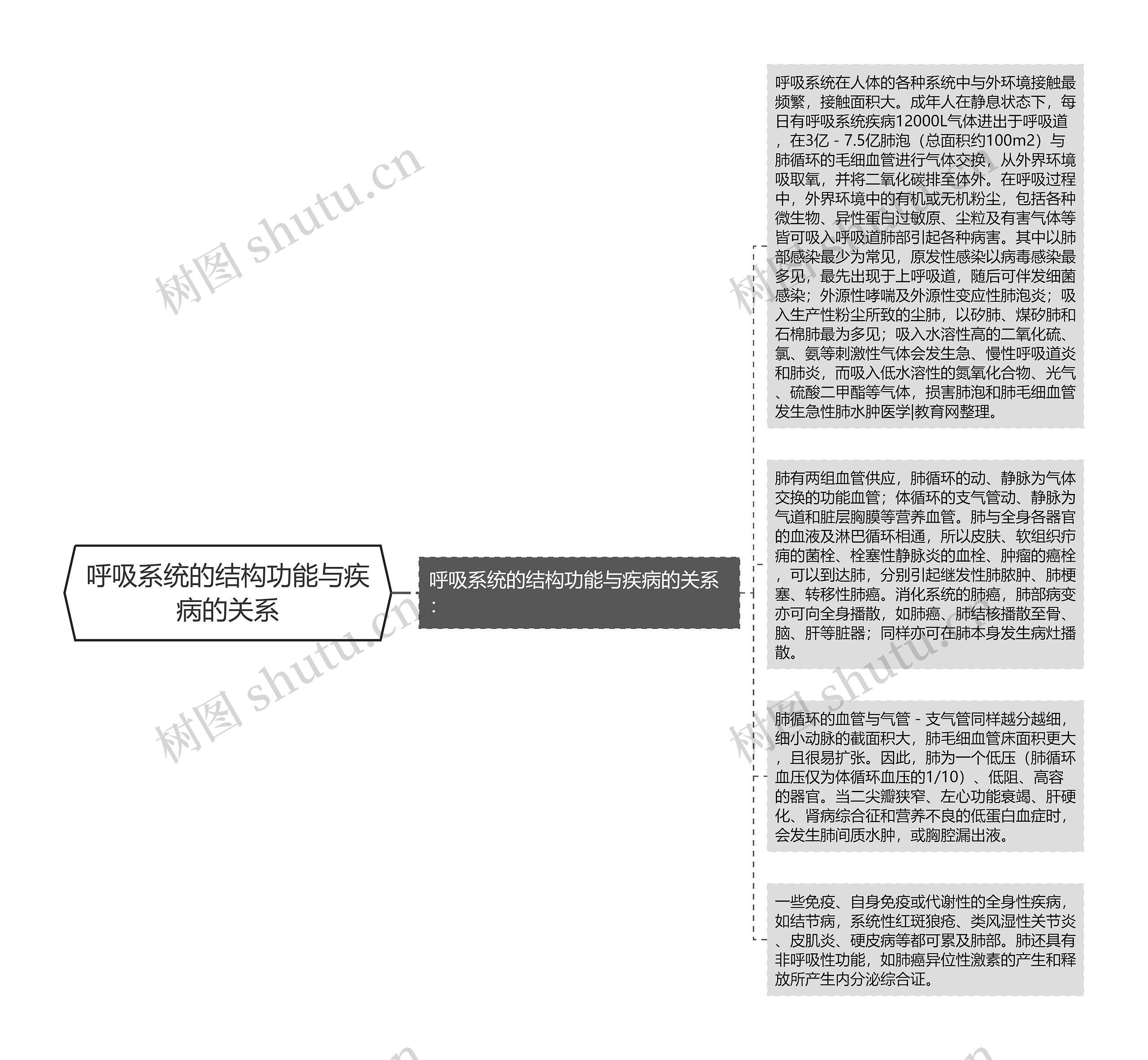 呼吸系统的结构功能与疾病的关系思维导图