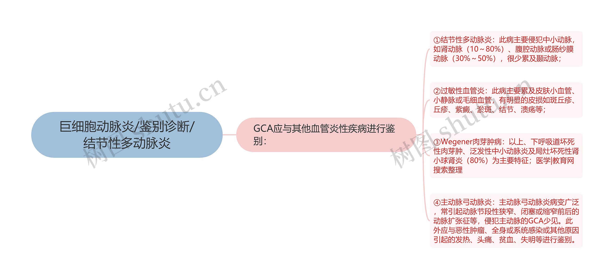 巨细胞动脉炎/鉴别诊断/结节性多动脉炎思维导图