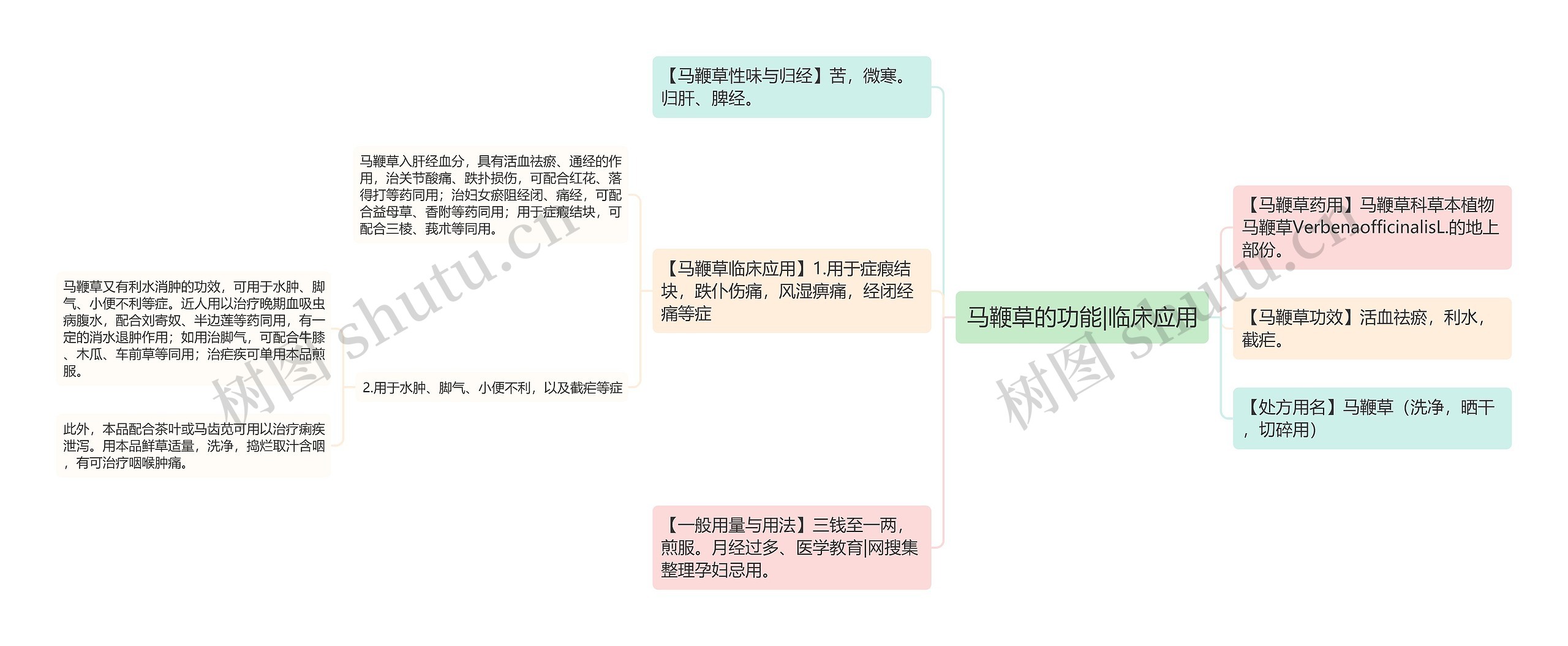 马鞭草的功能|临床应用思维导图