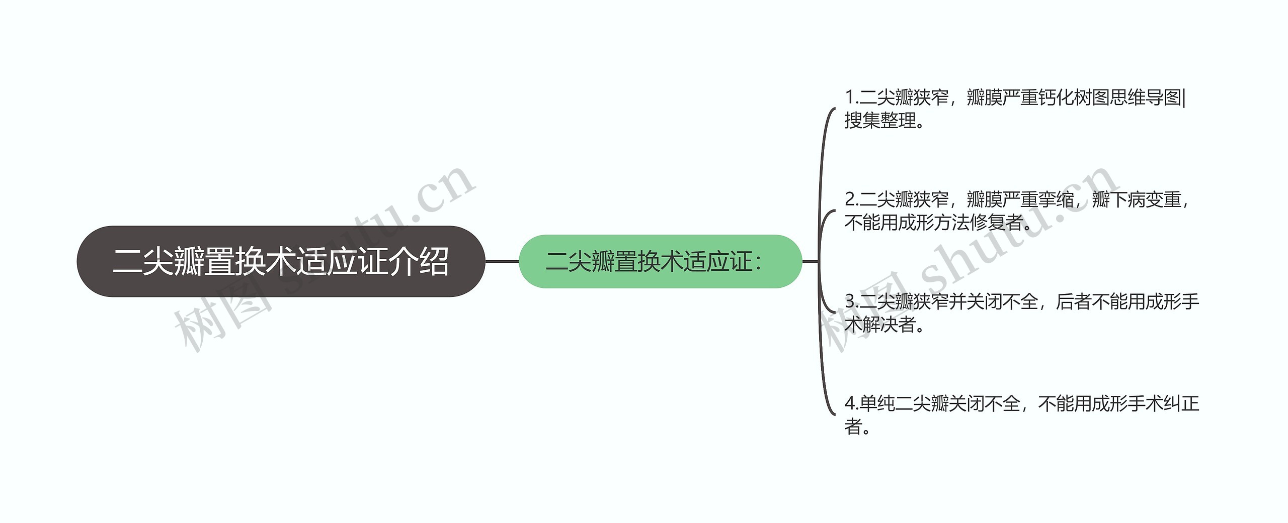 二尖瓣置换术适应证介绍思维导图