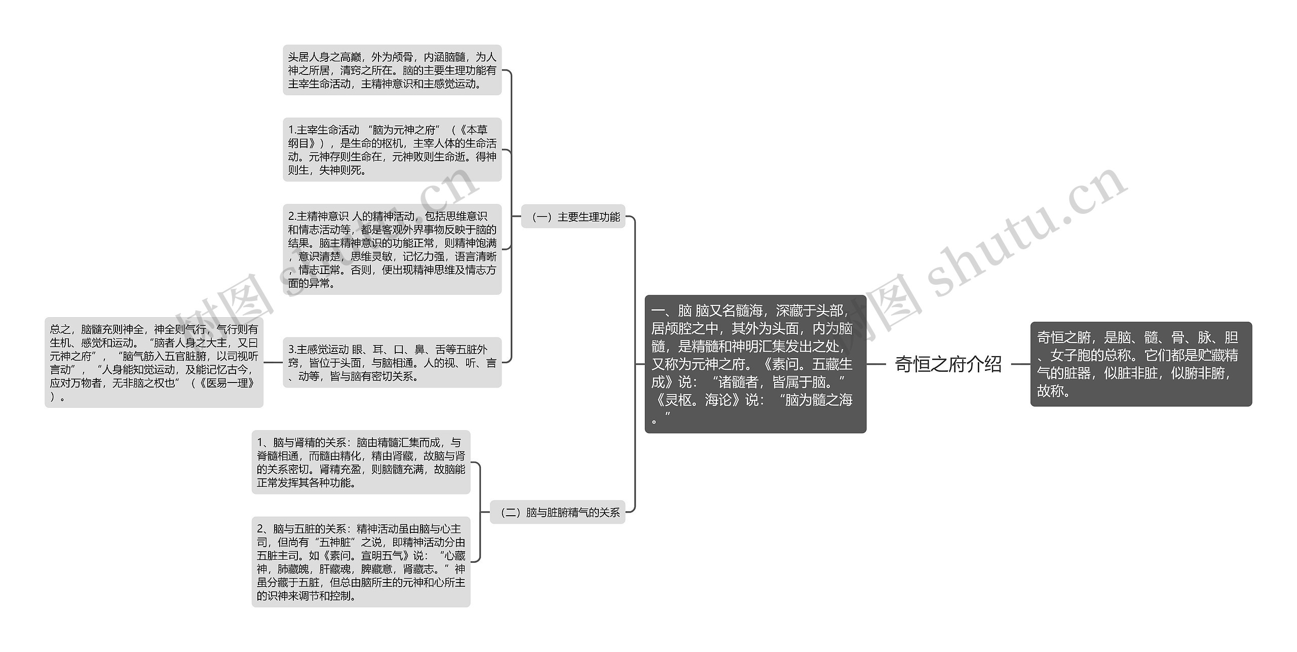 奇恒之府介绍