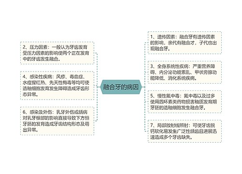 融合牙的病因