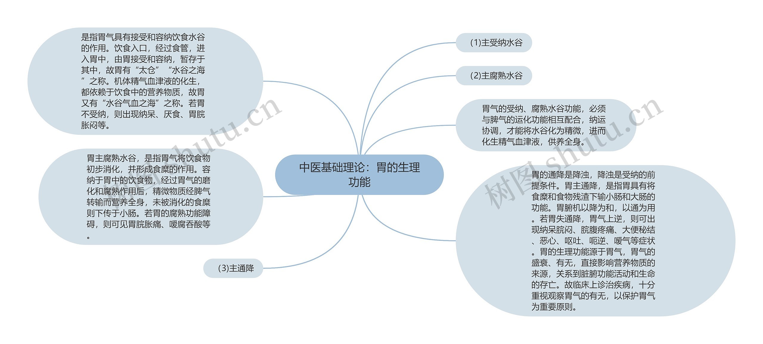 中医基础理论：胃的生理功能