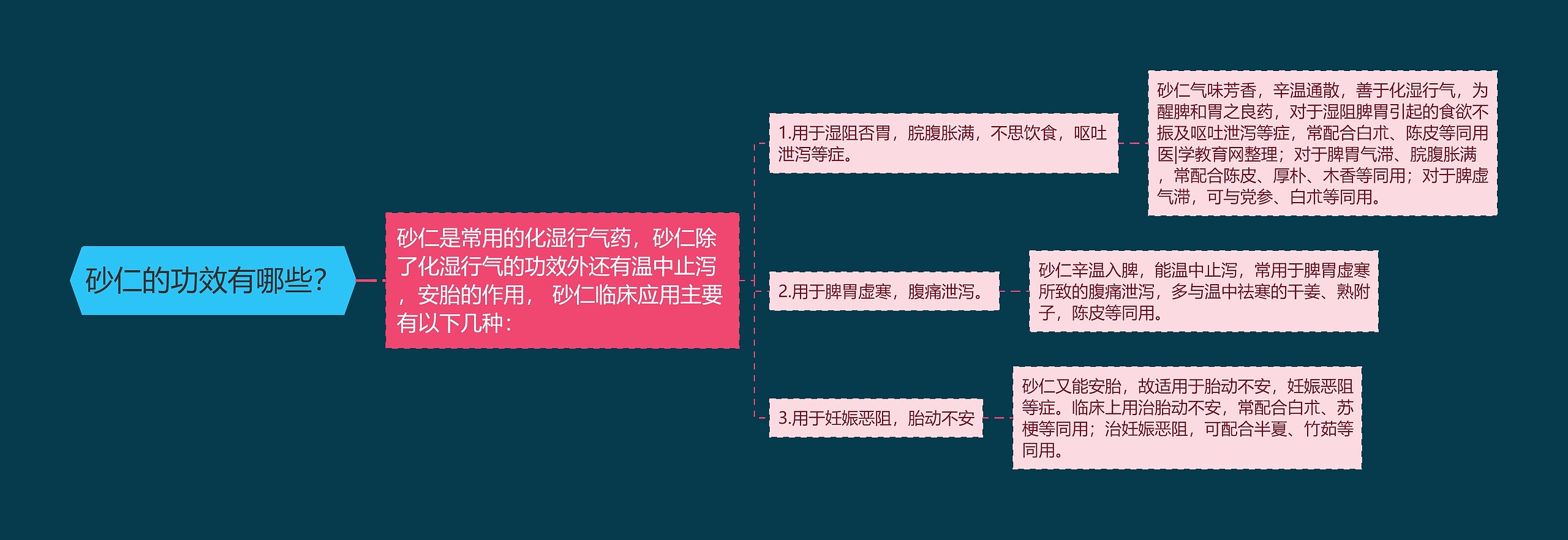 砂仁的功效有哪些？思维导图