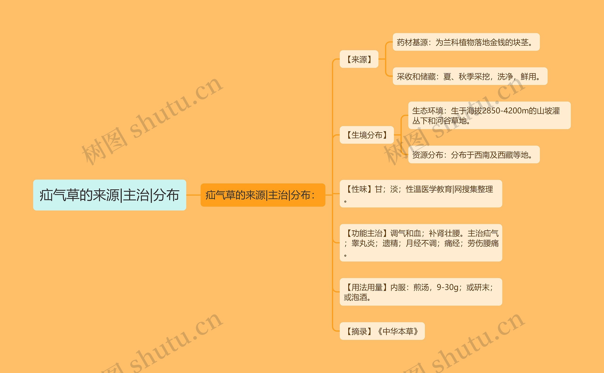 疝气草的来源|主治|分布