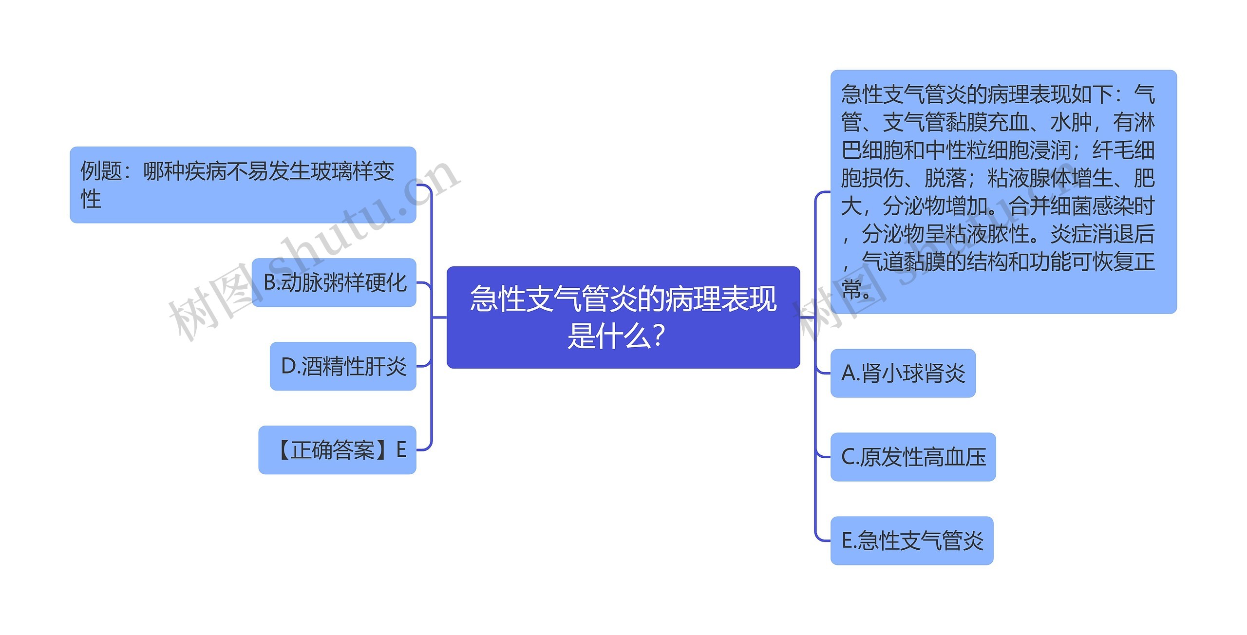 急性支气管炎的病理表现是什么？思维导图