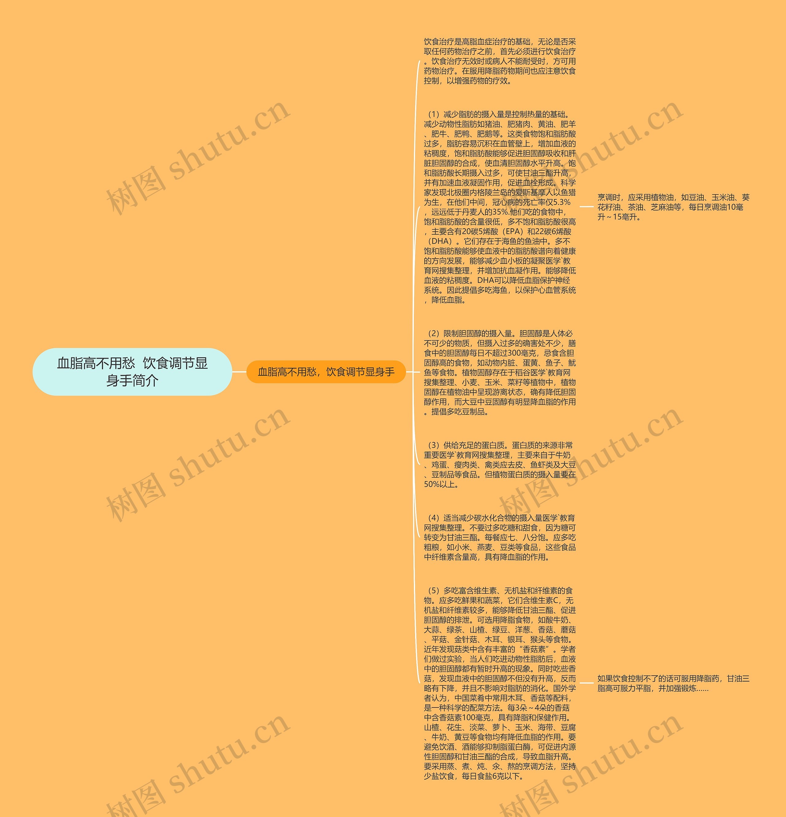 血脂高不用愁  饮食调节显身手简介思维导图
