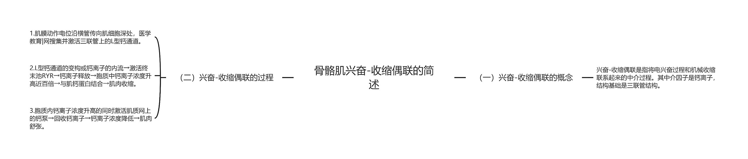 骨骼肌兴奋-收缩偶联的简述 骨骼肌兴奋-收缩偶联的简述