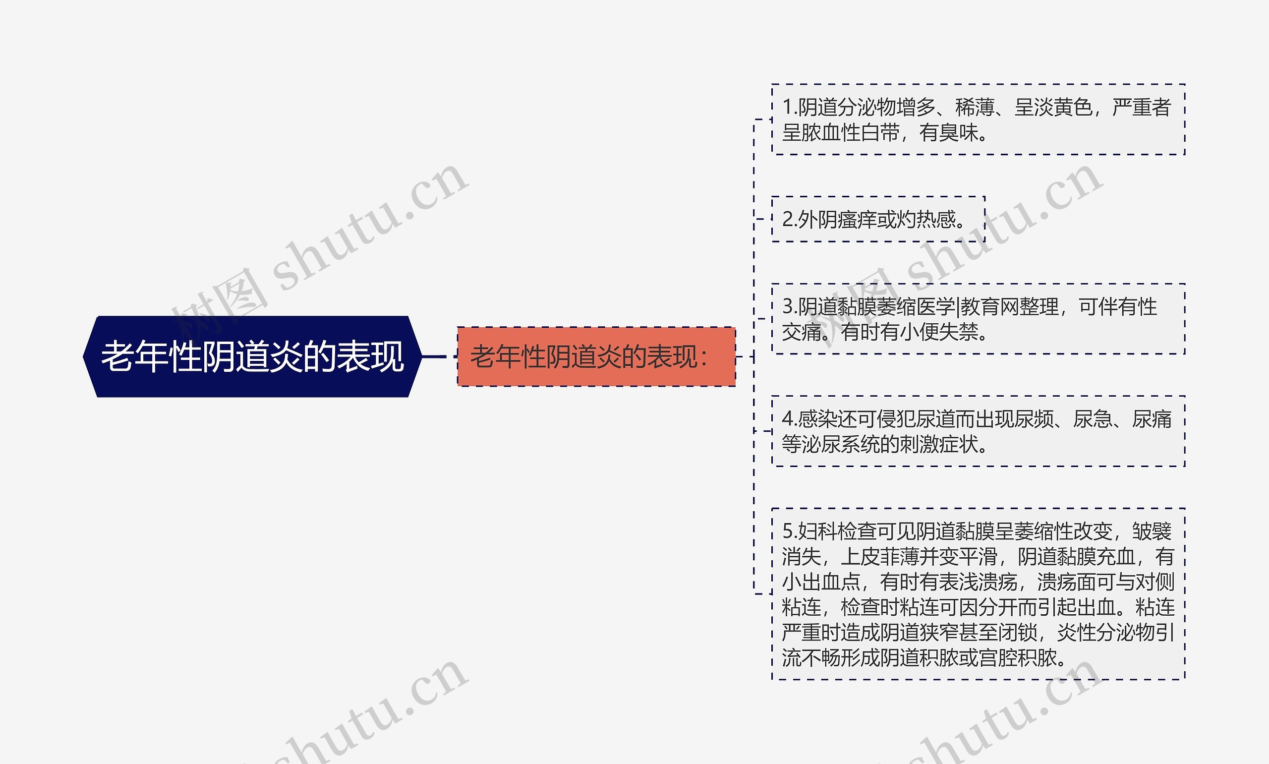 老年性阴道炎的表现思维导图