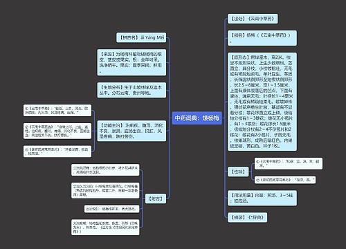 中药词典：矮杨梅