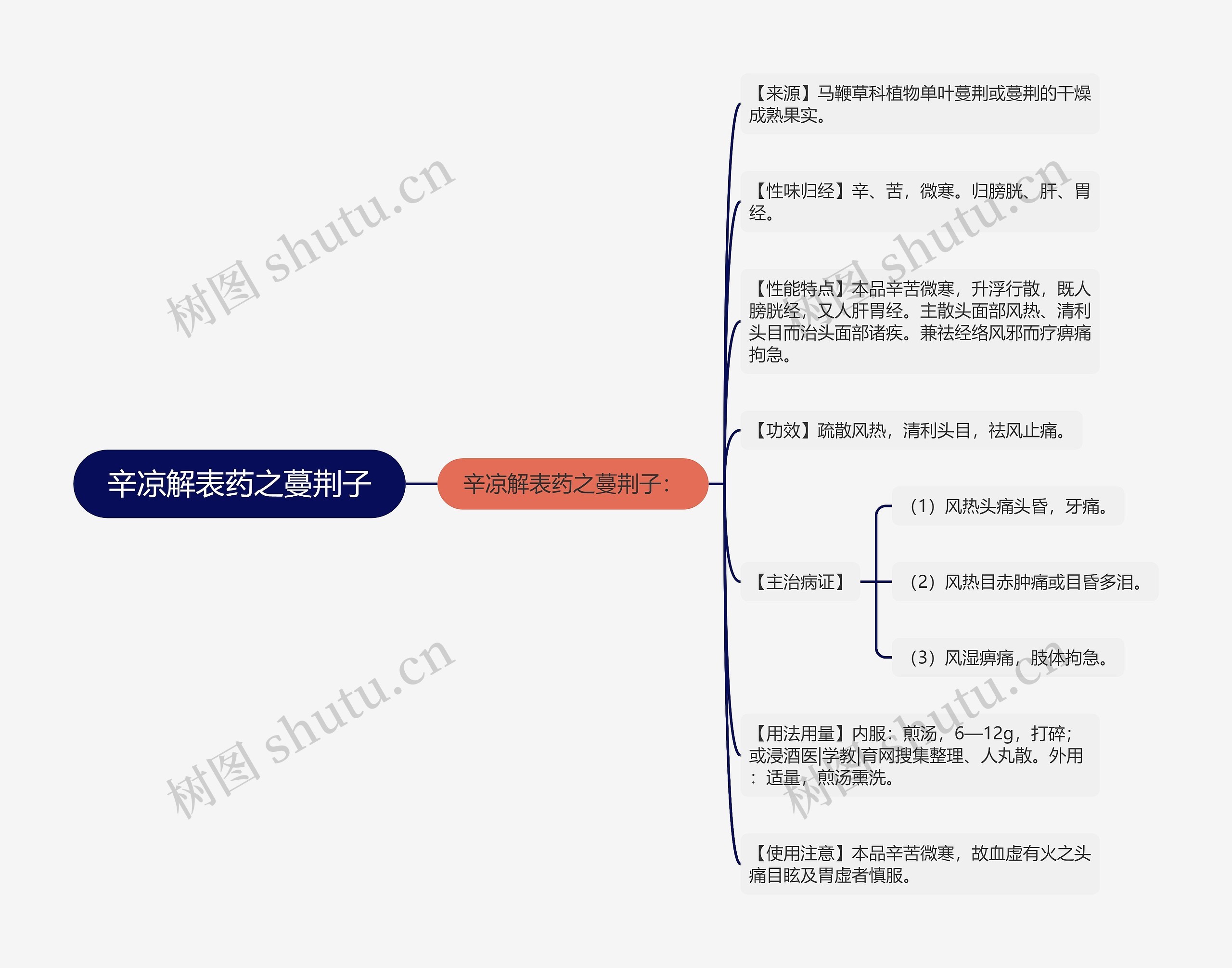 辛凉解表药之蔓荆子思维导图