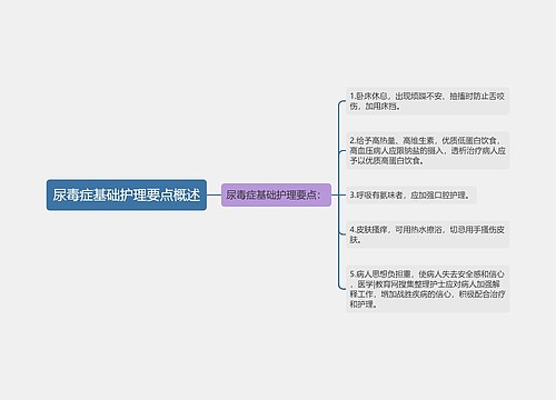 尿毒症基础护理要点概述