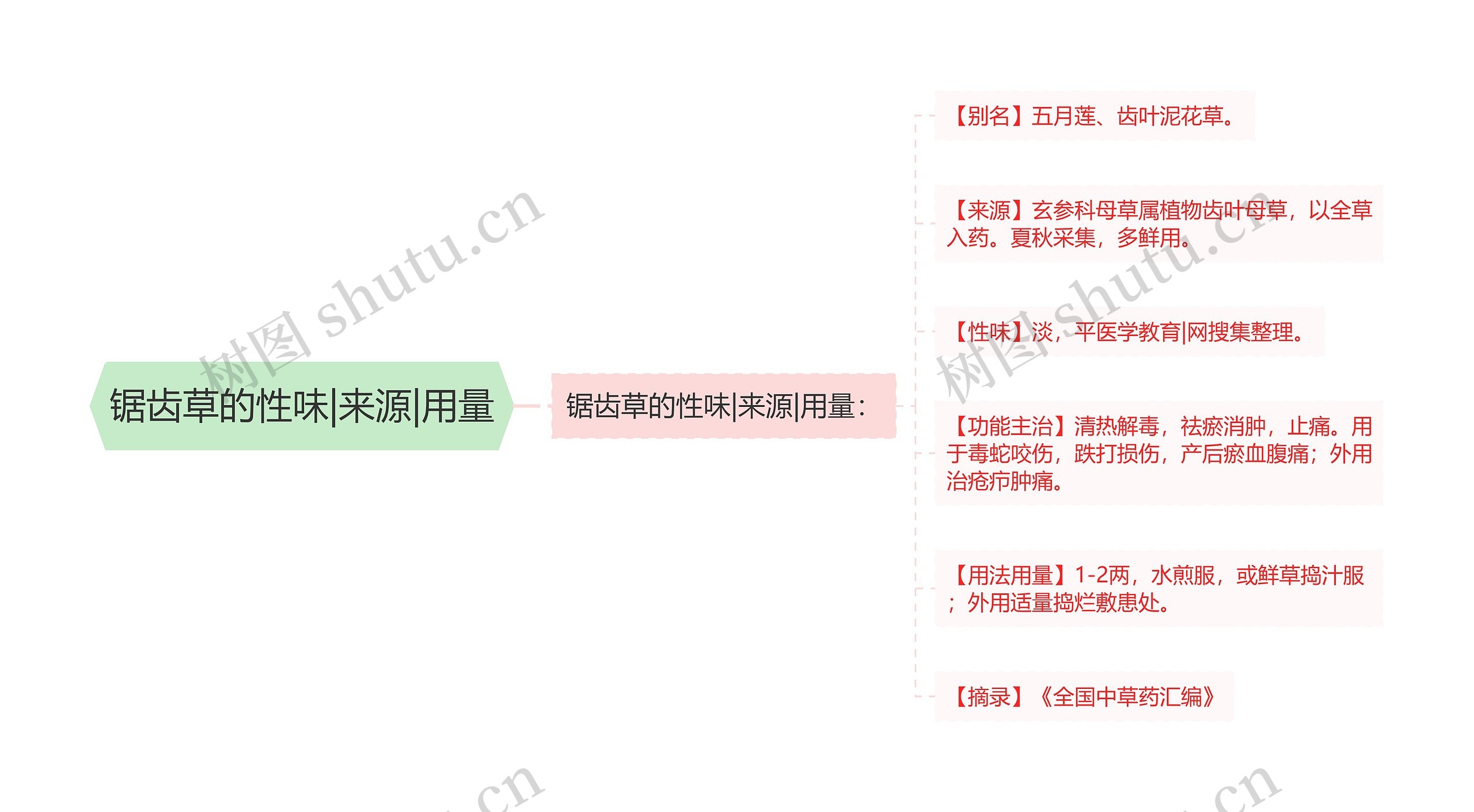 锯齿草的性味|来源|用量