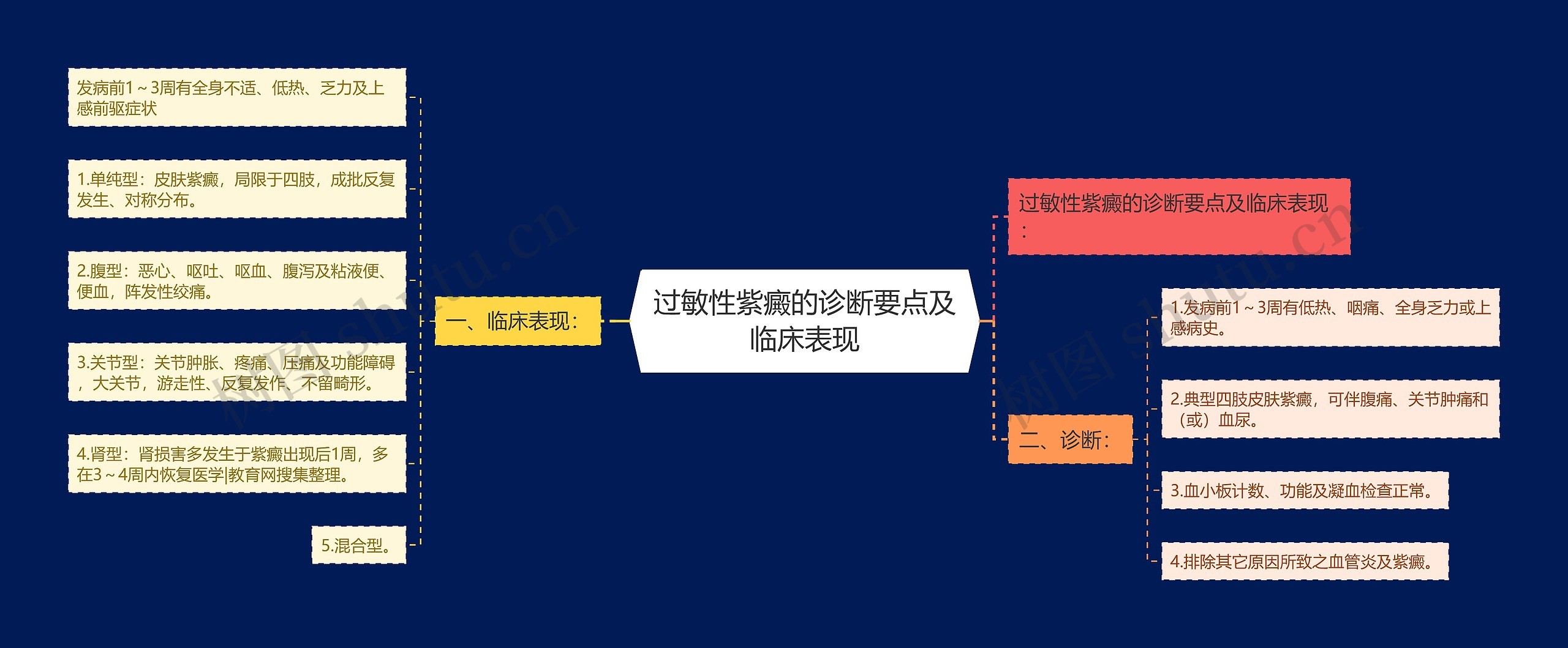 过敏性紫癜的诊断要点及临床表现思维导图