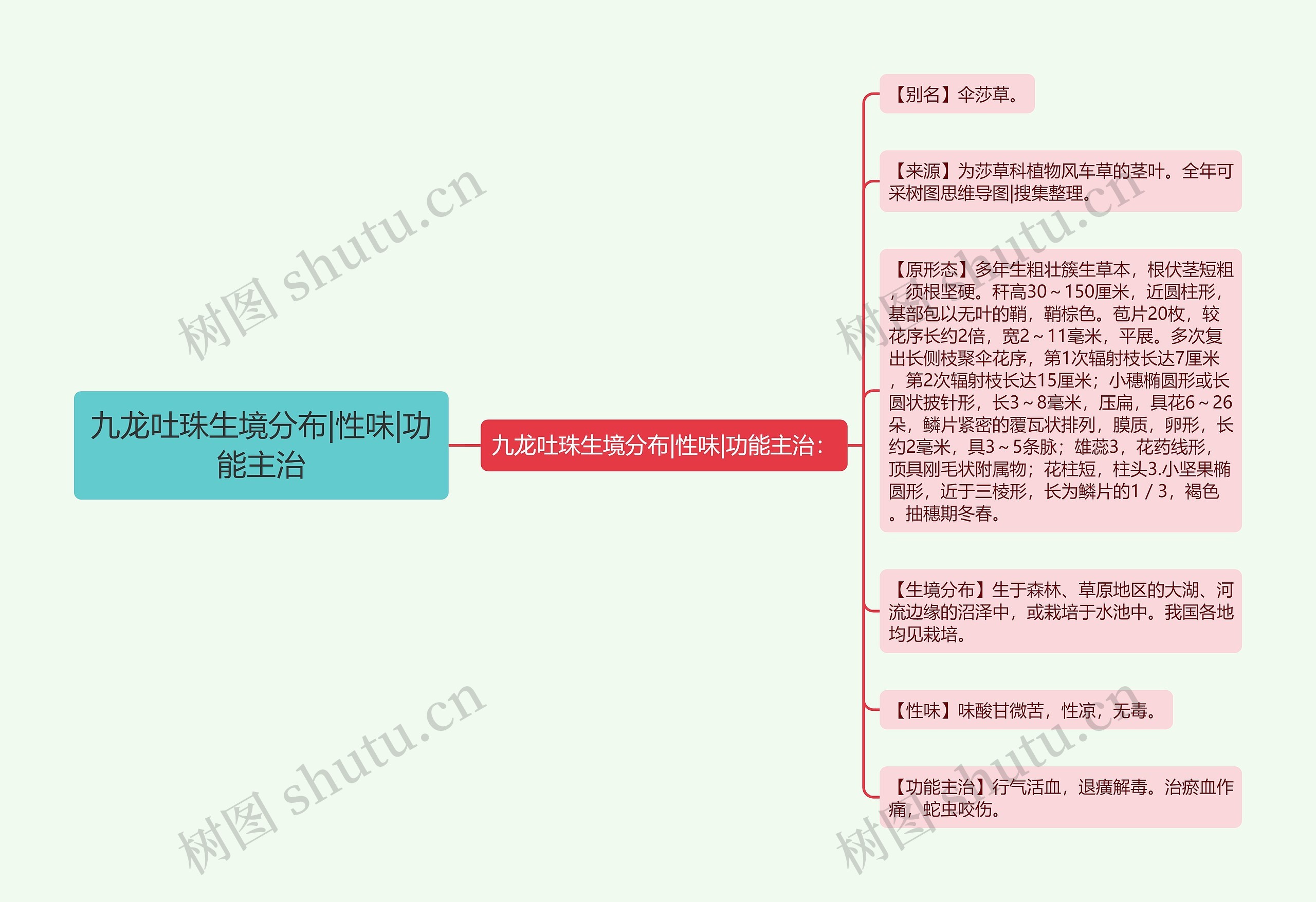 九龙吐珠生境分布|性味|功能主治 九龙吐珠生境分布|性味|功能主治