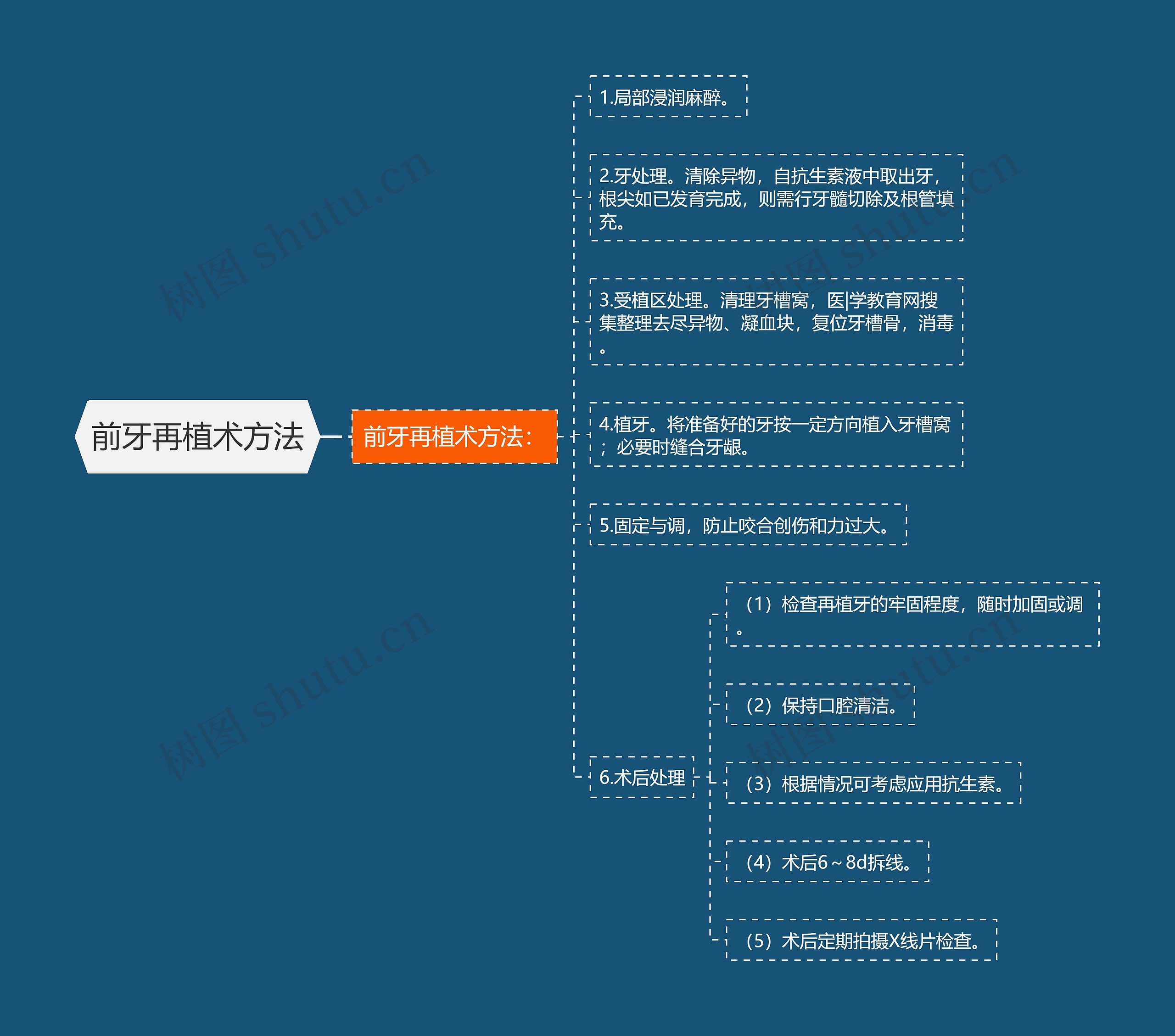 前牙再植术方法思维导图