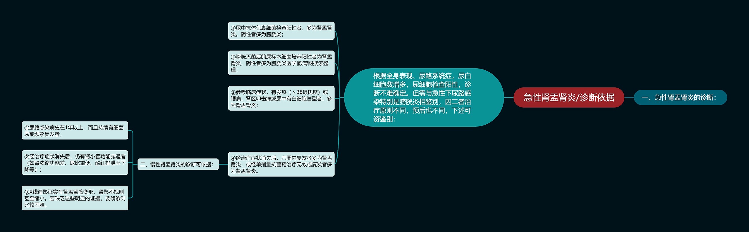 急性肾盂肾炎/诊断依据 急性肾盂肾炎/诊断依据
