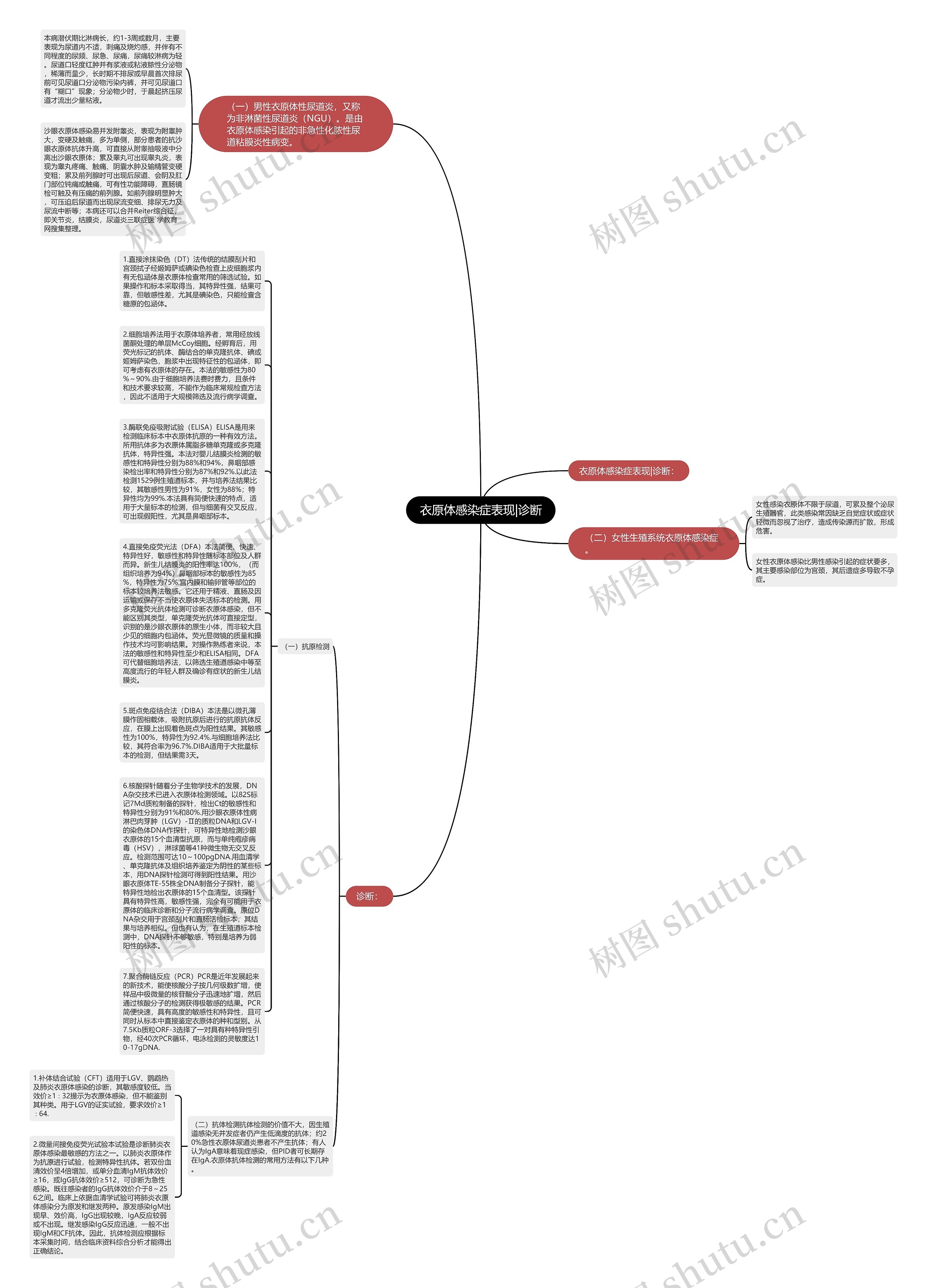 衣原体感染症表现|诊断思维导图