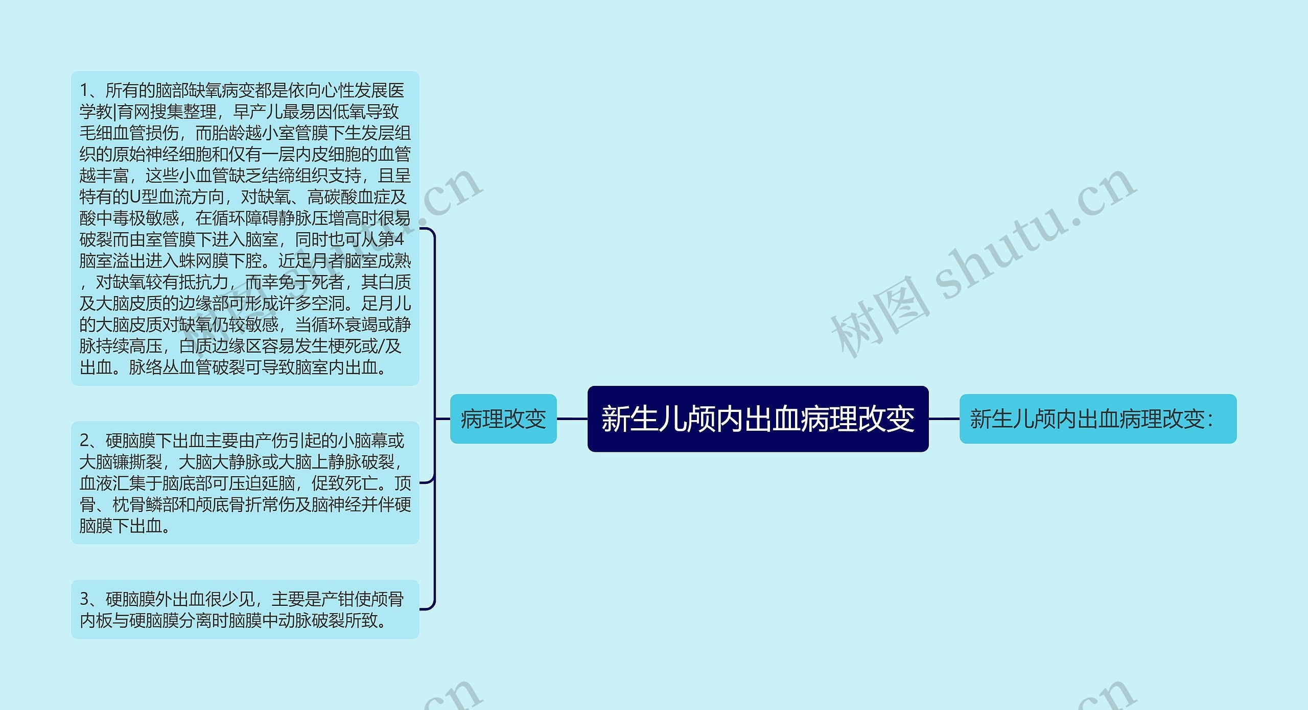 新生儿颅内出血病理改变思维导图