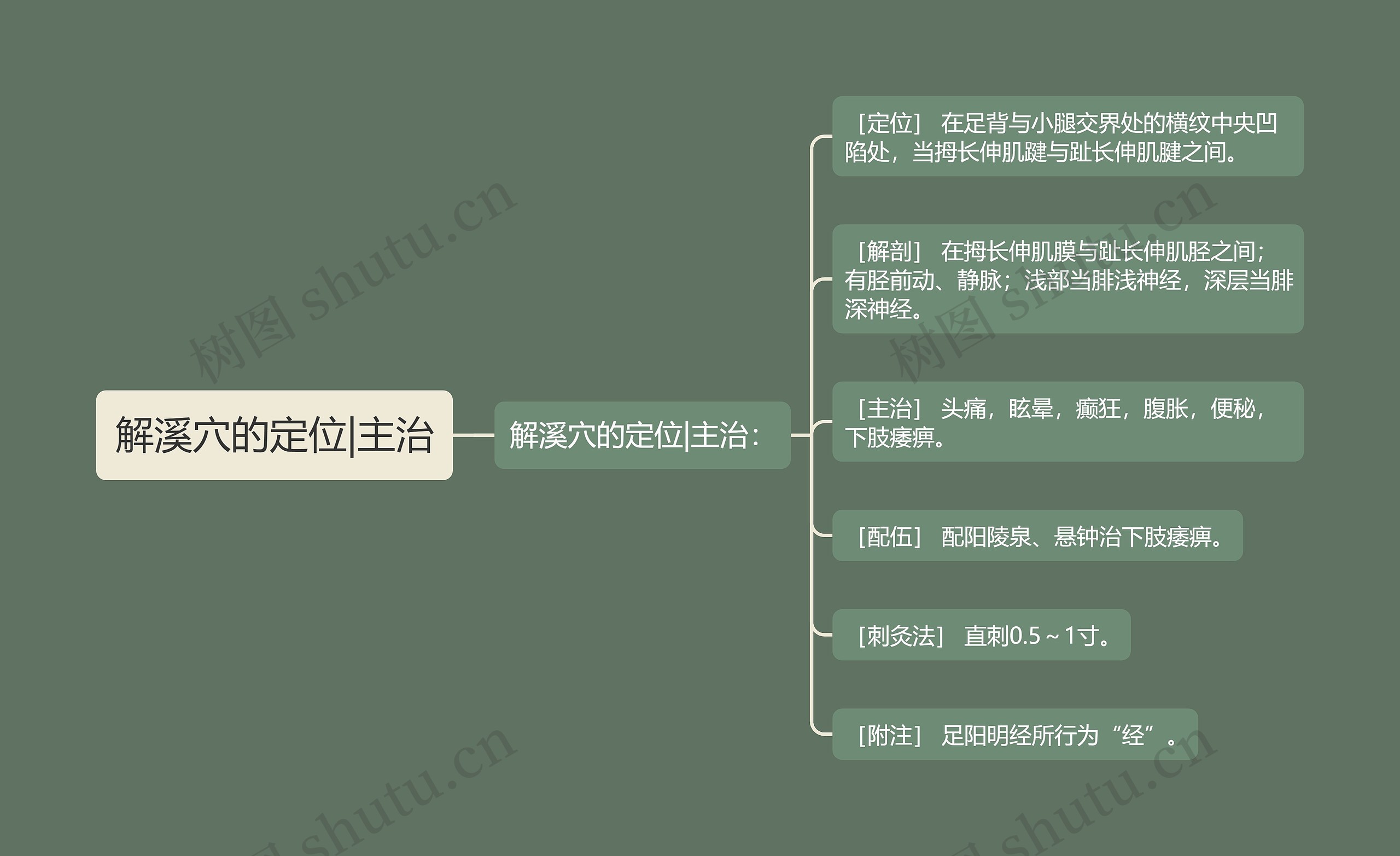 解溪穴的定位|主治