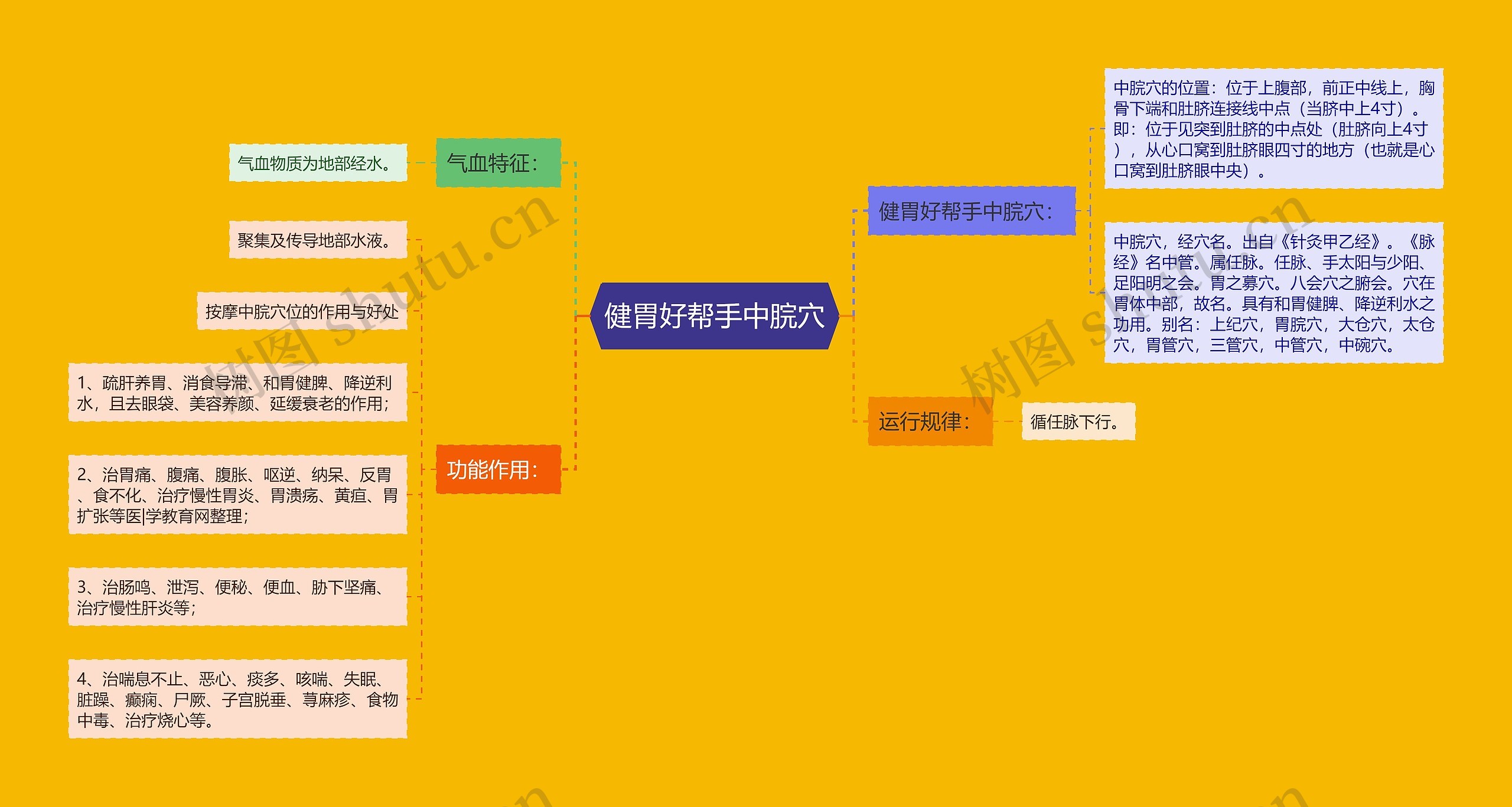 健胃好帮手中脘穴