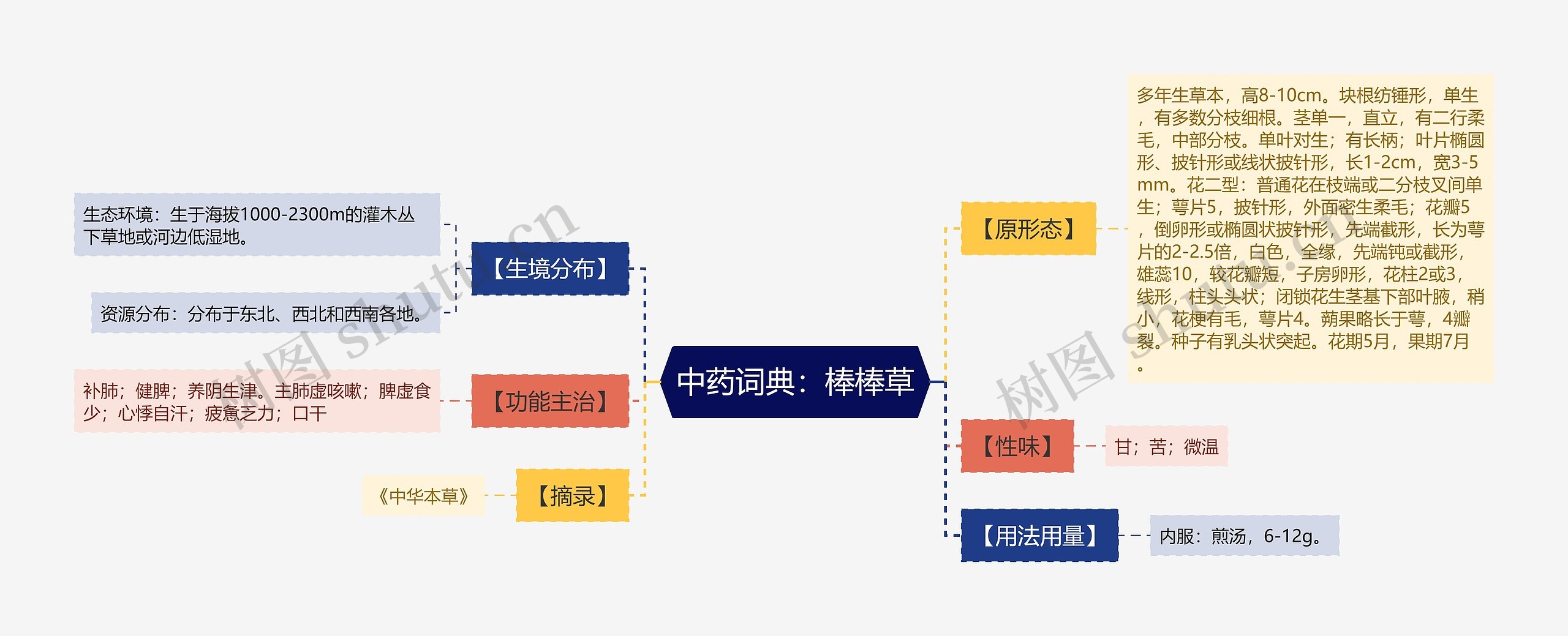 中药词典：棒棒草