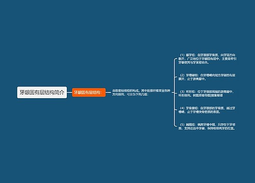 牙龈固有层结构简介