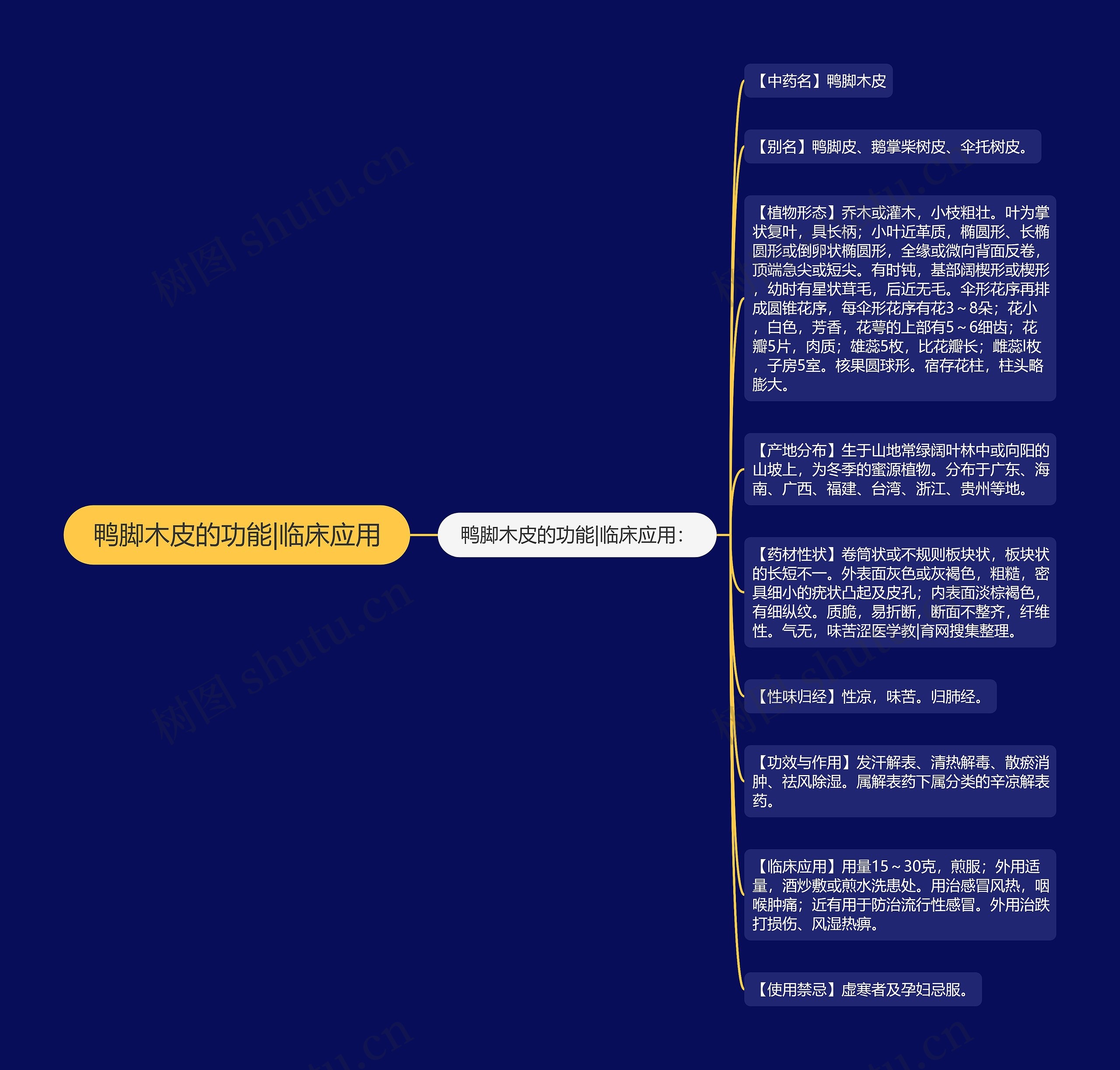 鸭脚木皮的功能|临床应用 鸭脚木皮的功能|临床应用