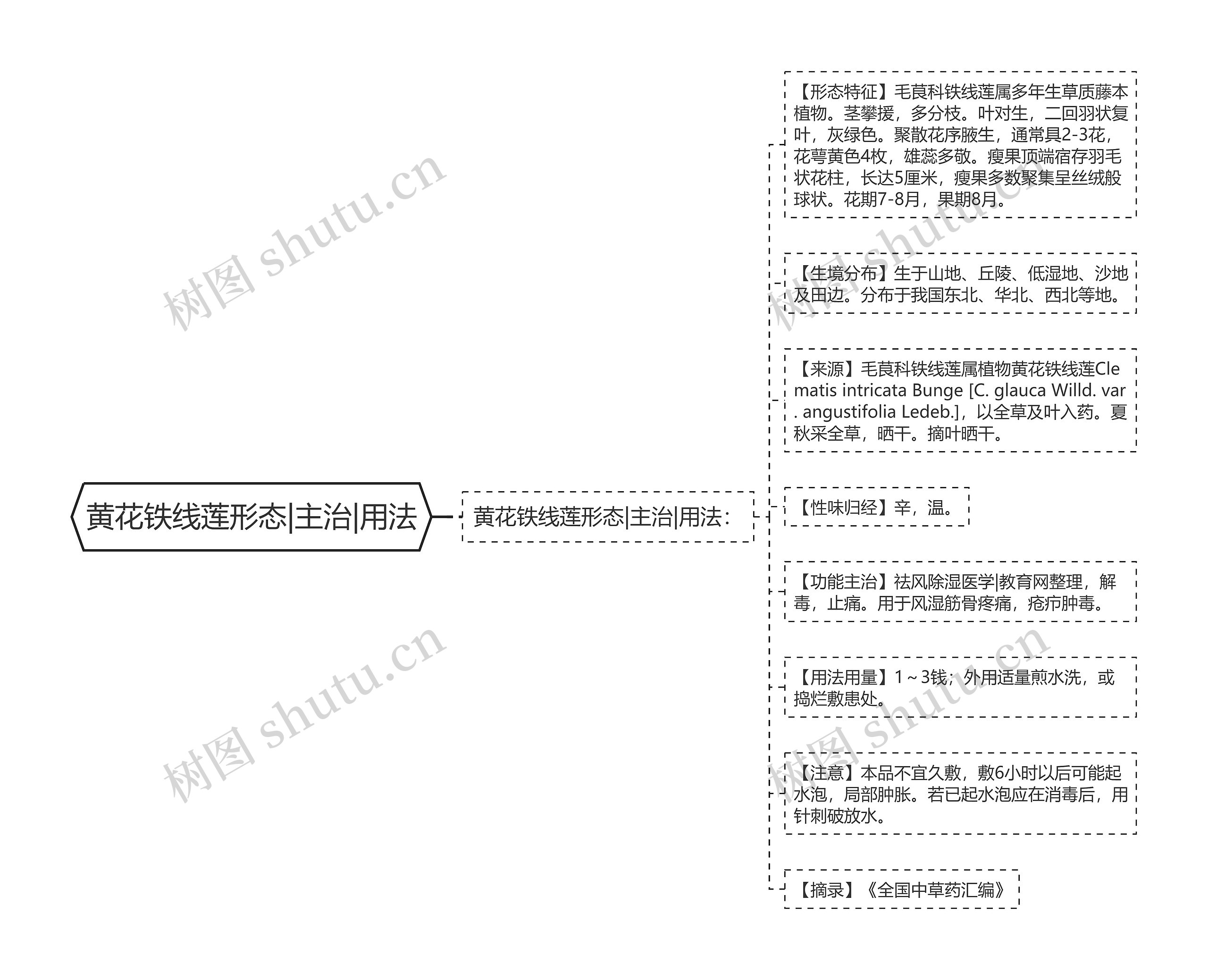 黄花铁线莲形态|主治|用法思维导图