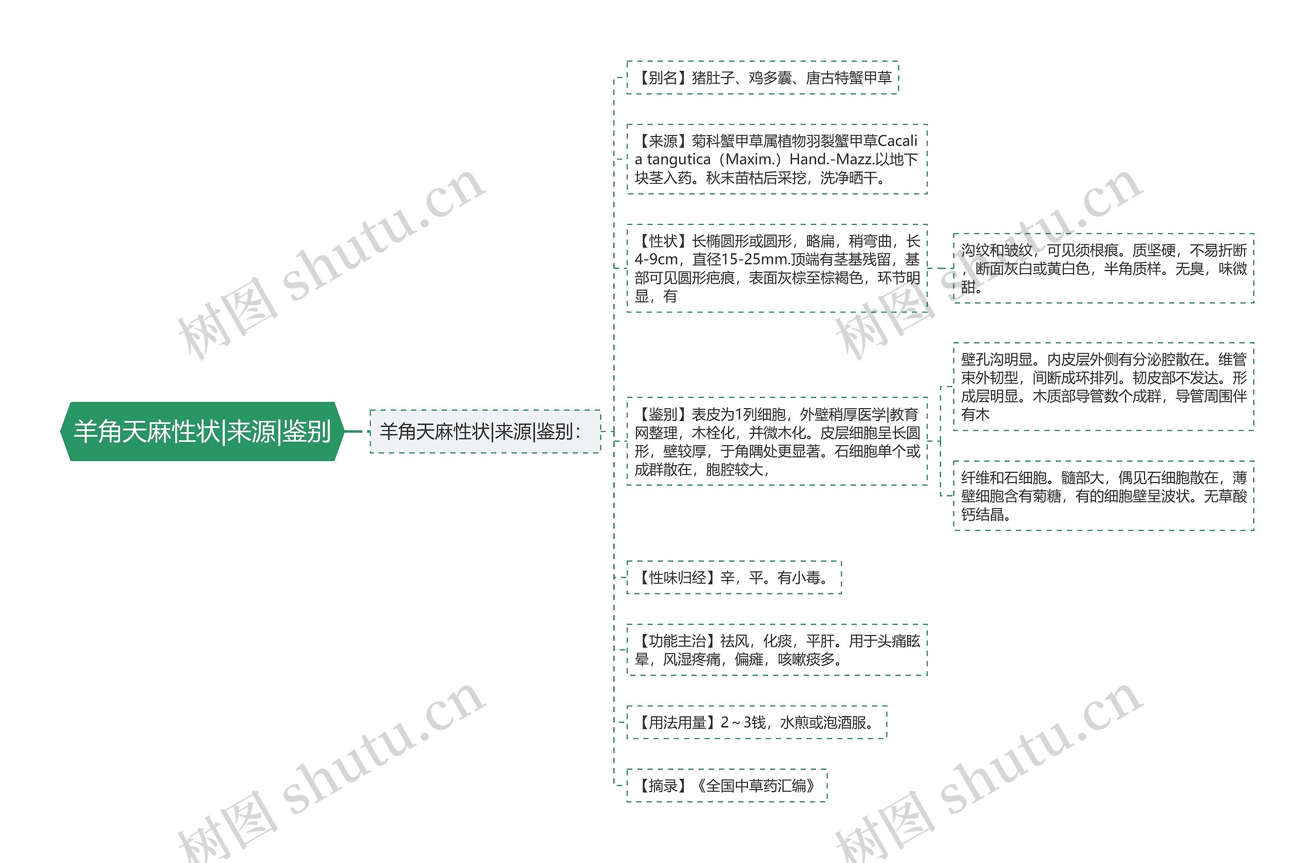 羊角天麻性状|来源|鉴别思维导图