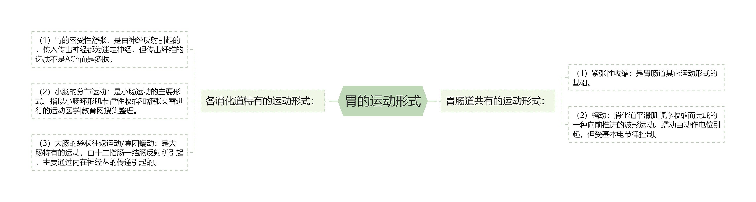 胃的运动形式 胃的运动形式