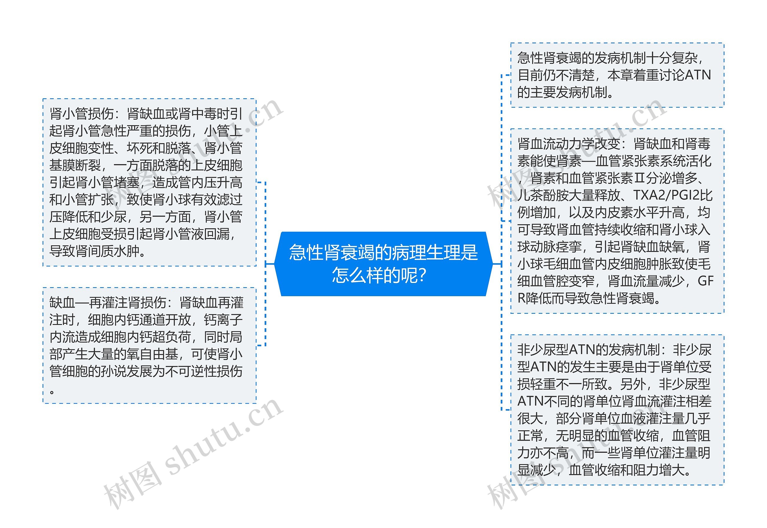 急性肾衰竭的病理生理是怎么样的呢？思维导图