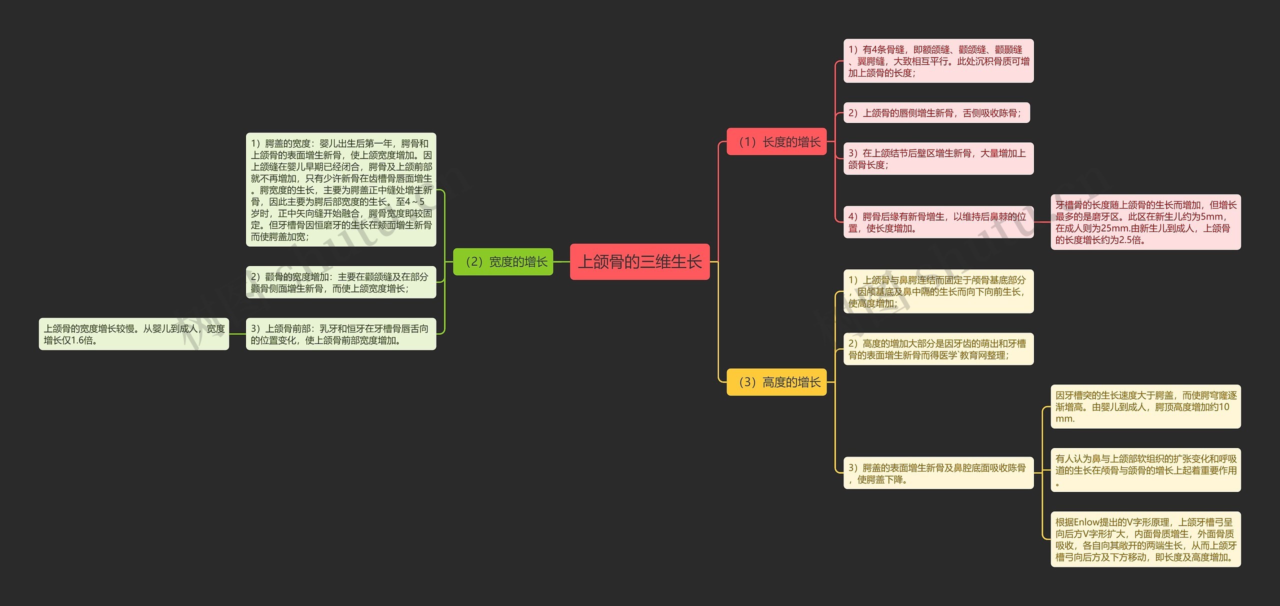 上颌骨的三维生长 上颌骨的三维生长