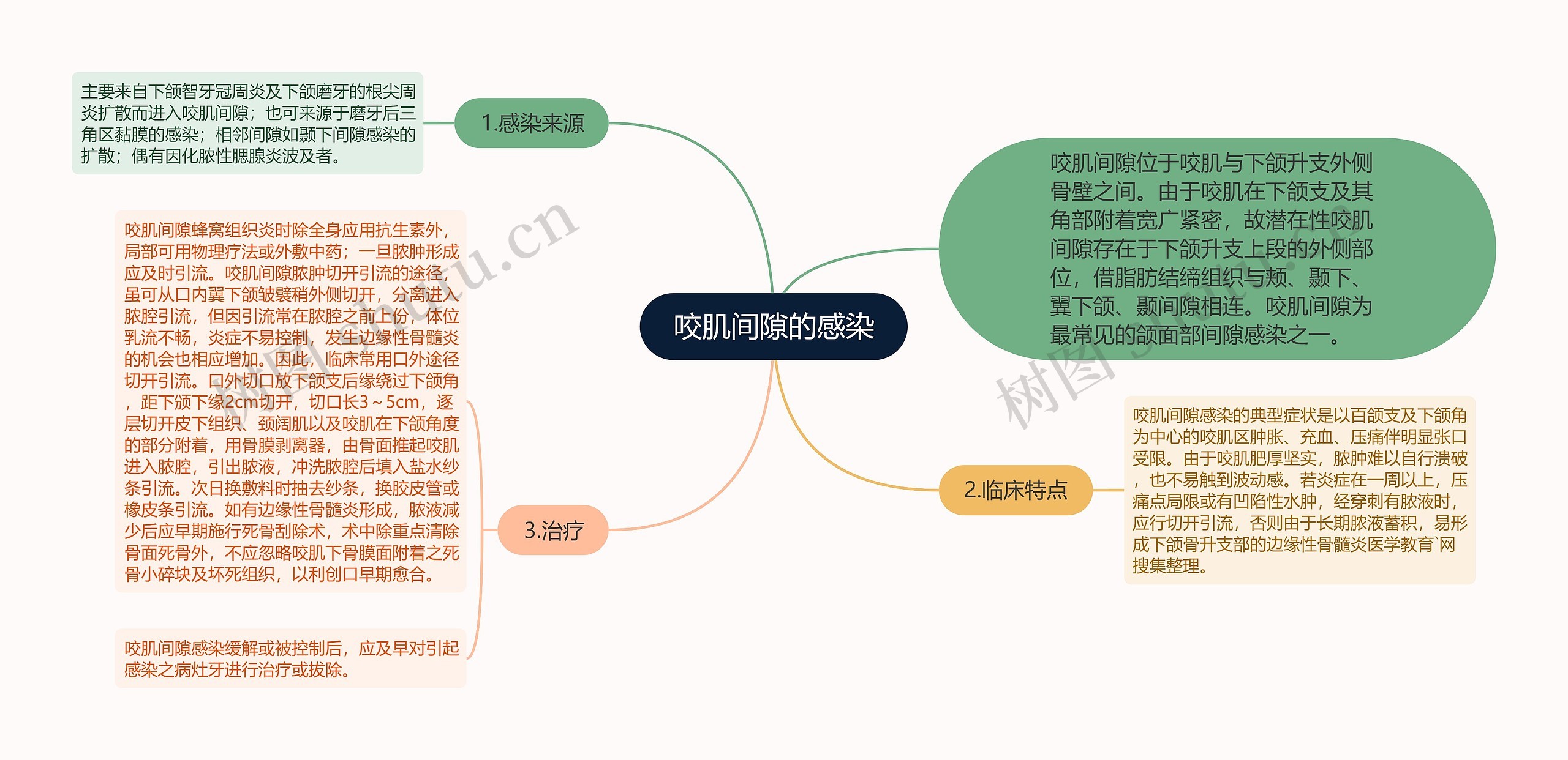 咬肌间隙的感染思维导图