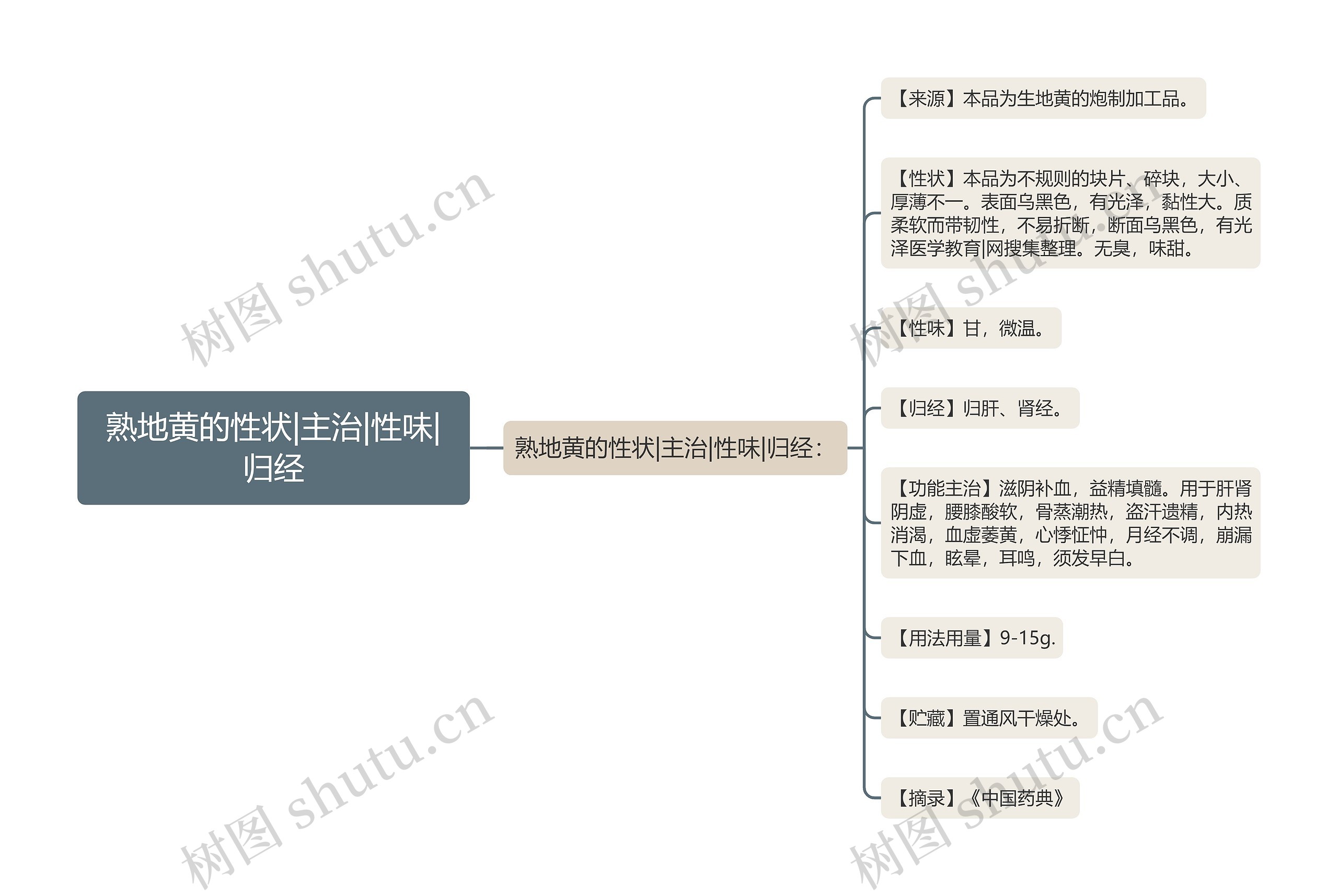 熟地黄的性状|主治|性味|归经思维导图