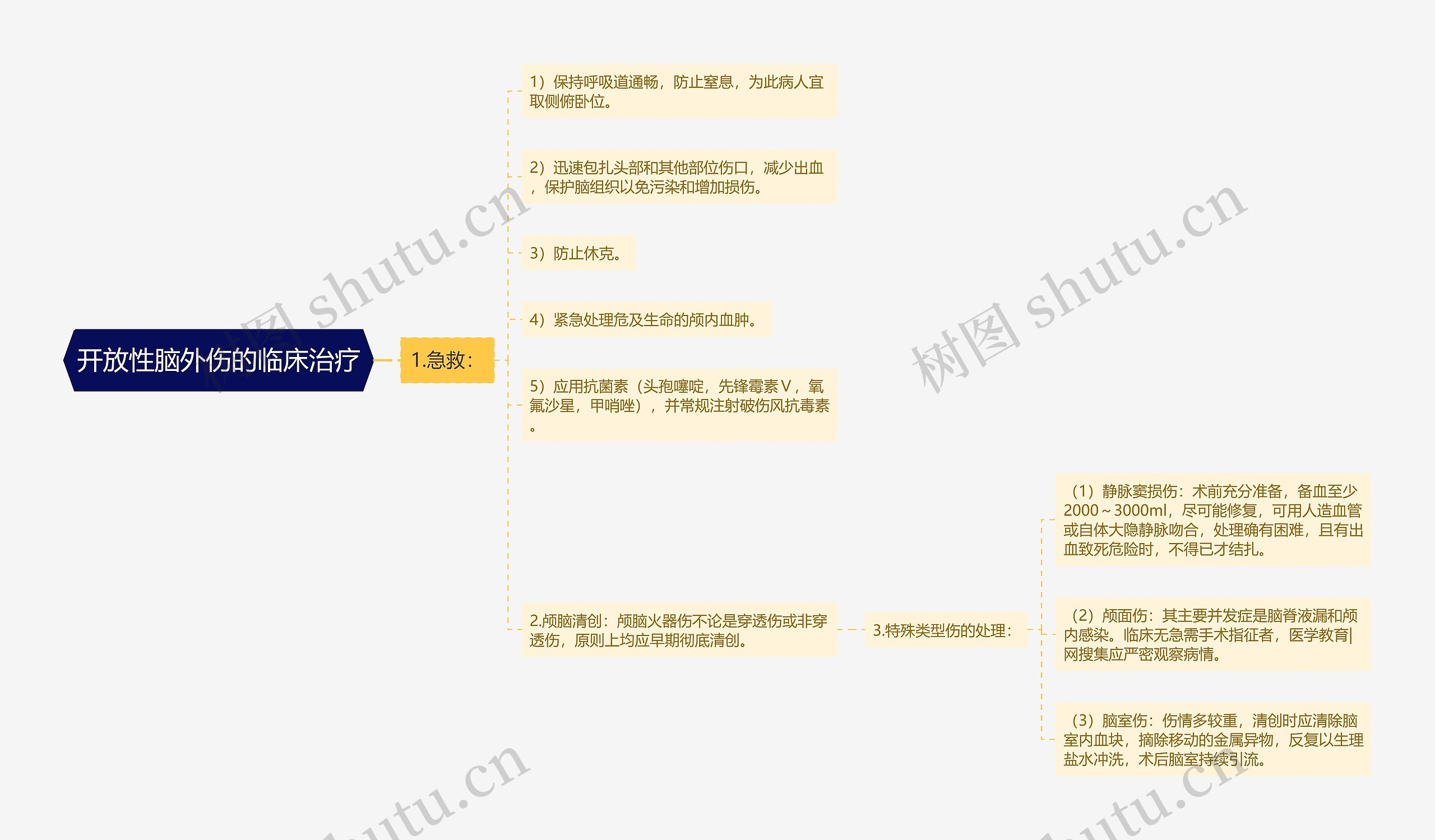 开放性脑外伤的临床治疗