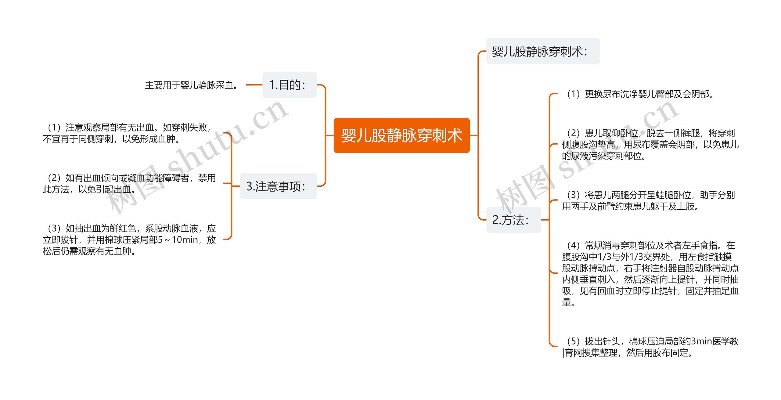 婴儿股静脉穿刺术思维导图