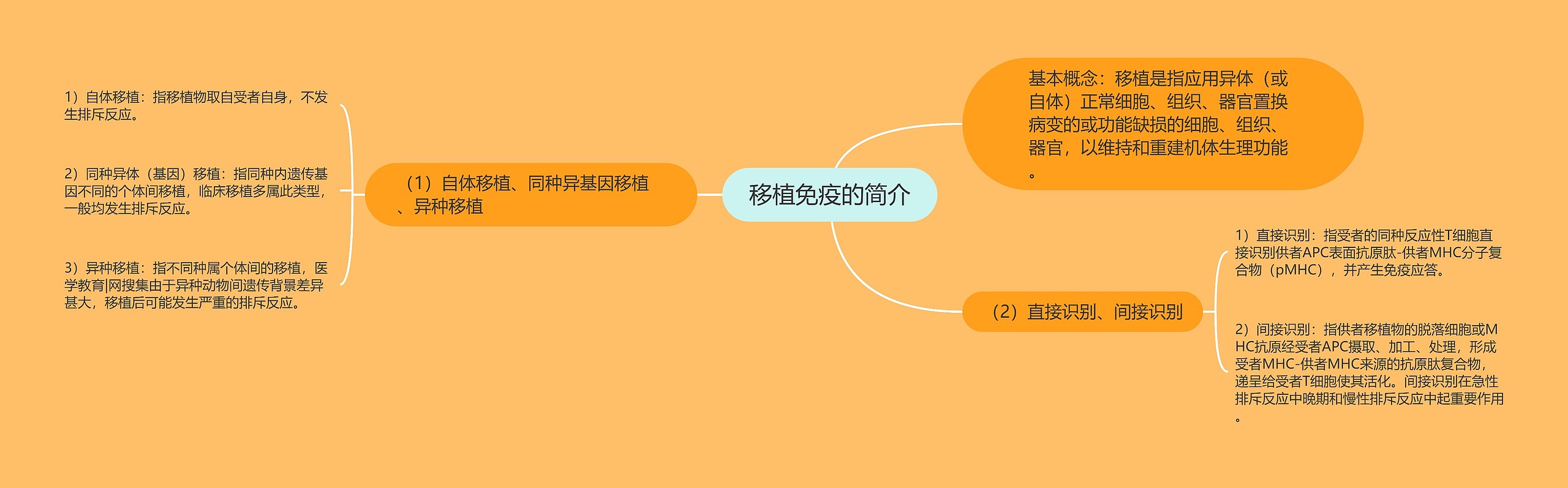 移植免疫的简介