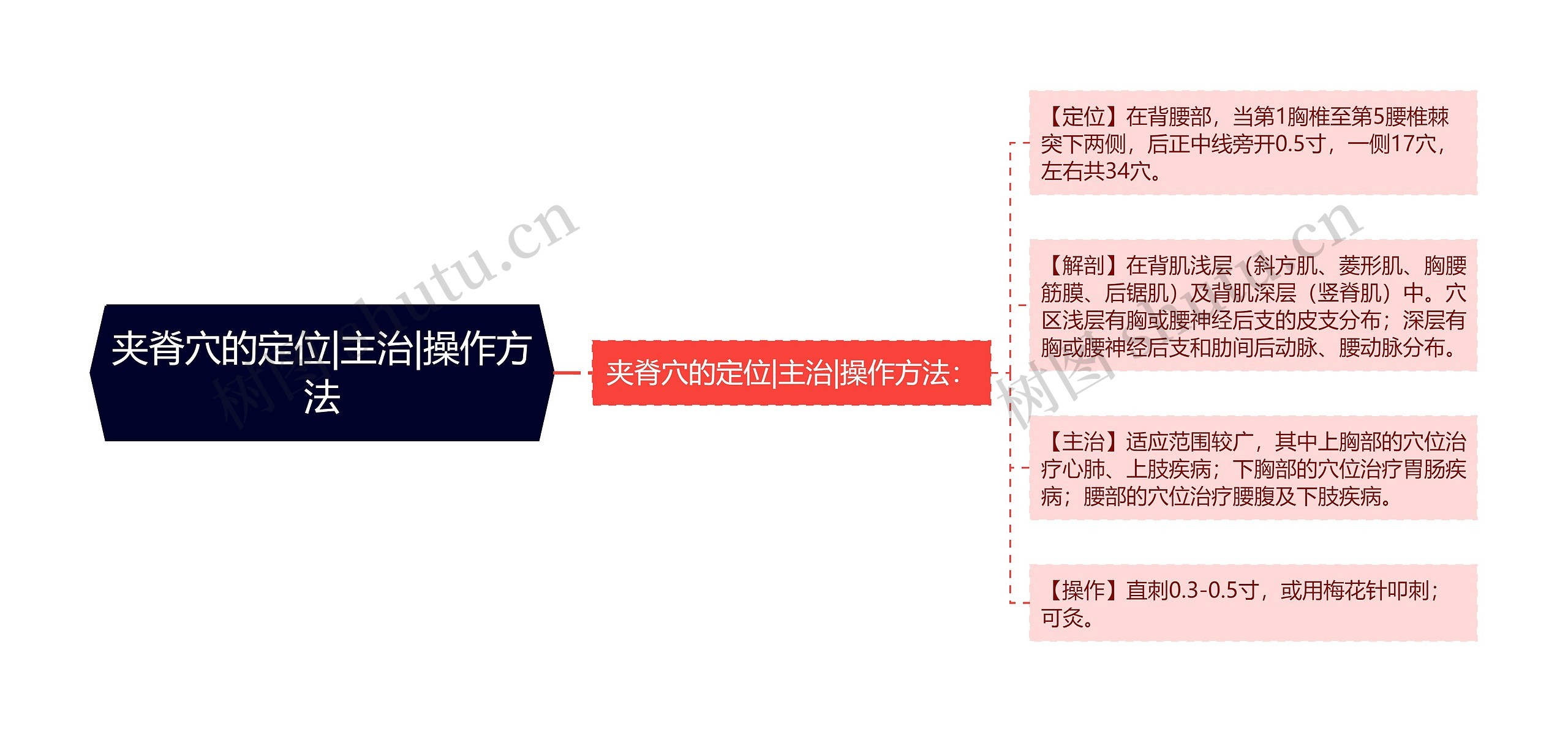 夹脊穴的定位|主治|操作方法 夹脊穴的定位|主治|操作方法
