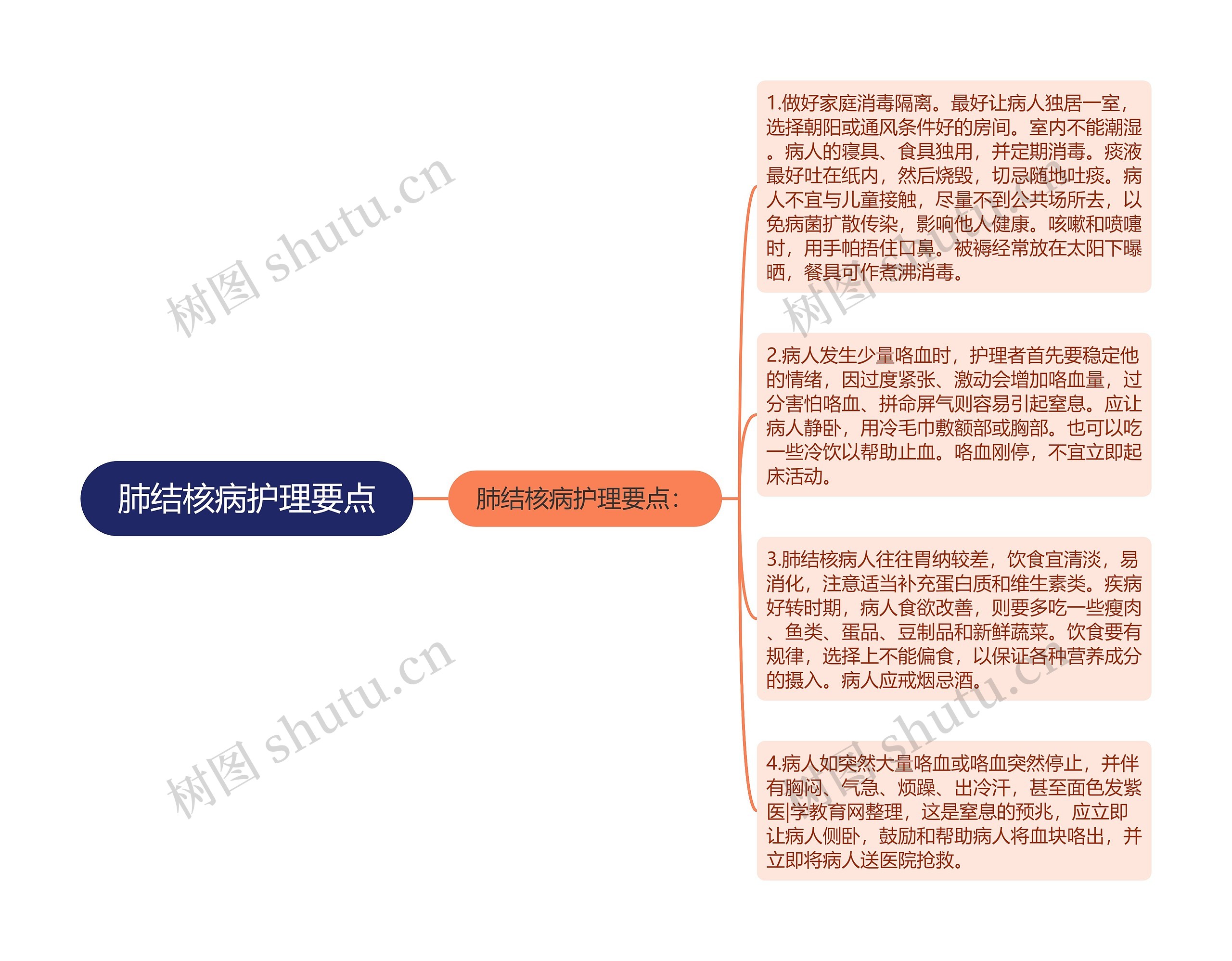 肺结核病护理要点