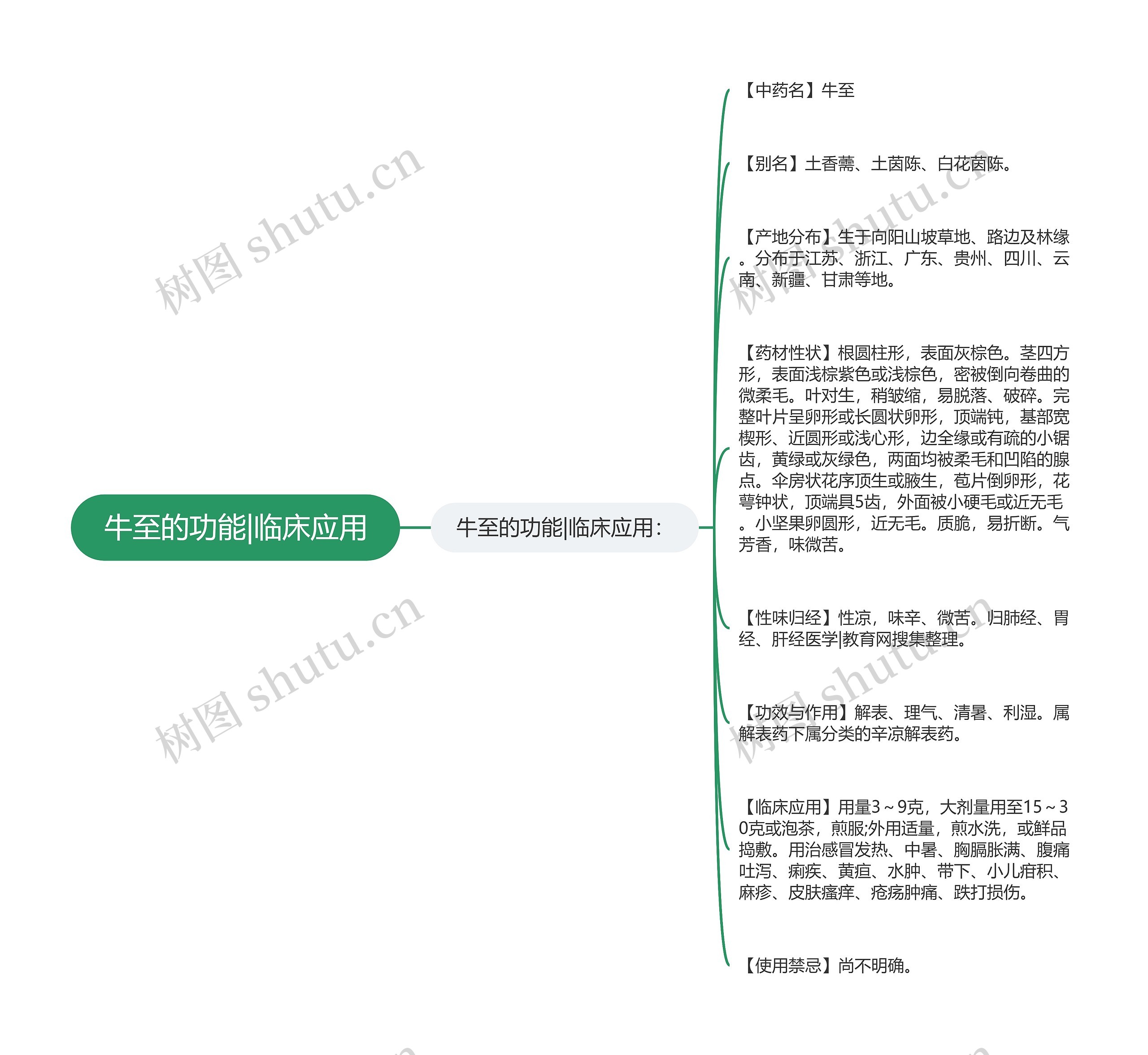 牛至的功能|临床应用思维导图